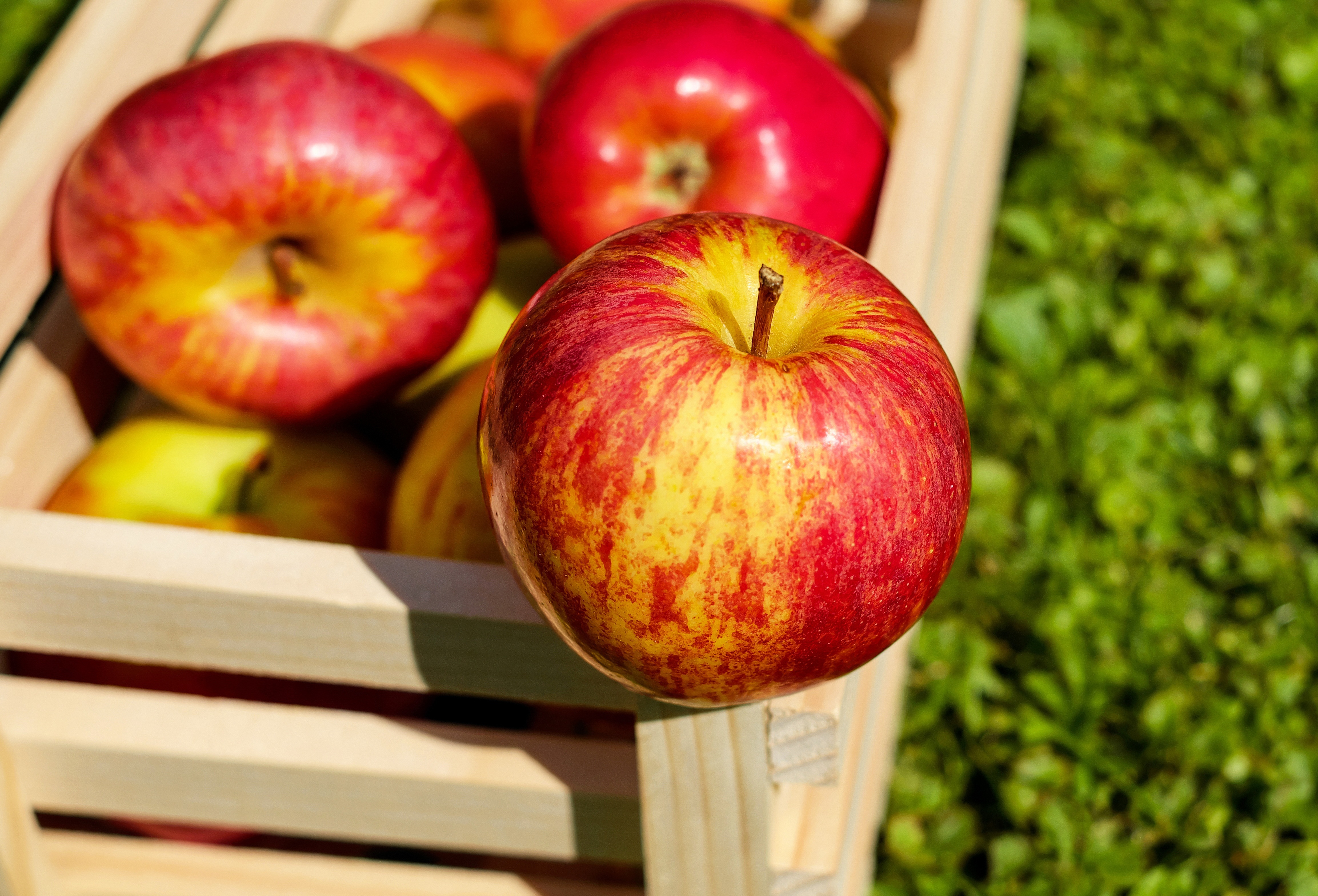 Laden Sie das Nahansicht, Frucht, Apfel, Nahrungsmittel, Früchte-Bild kostenlos auf Ihren PC-Desktop herunter