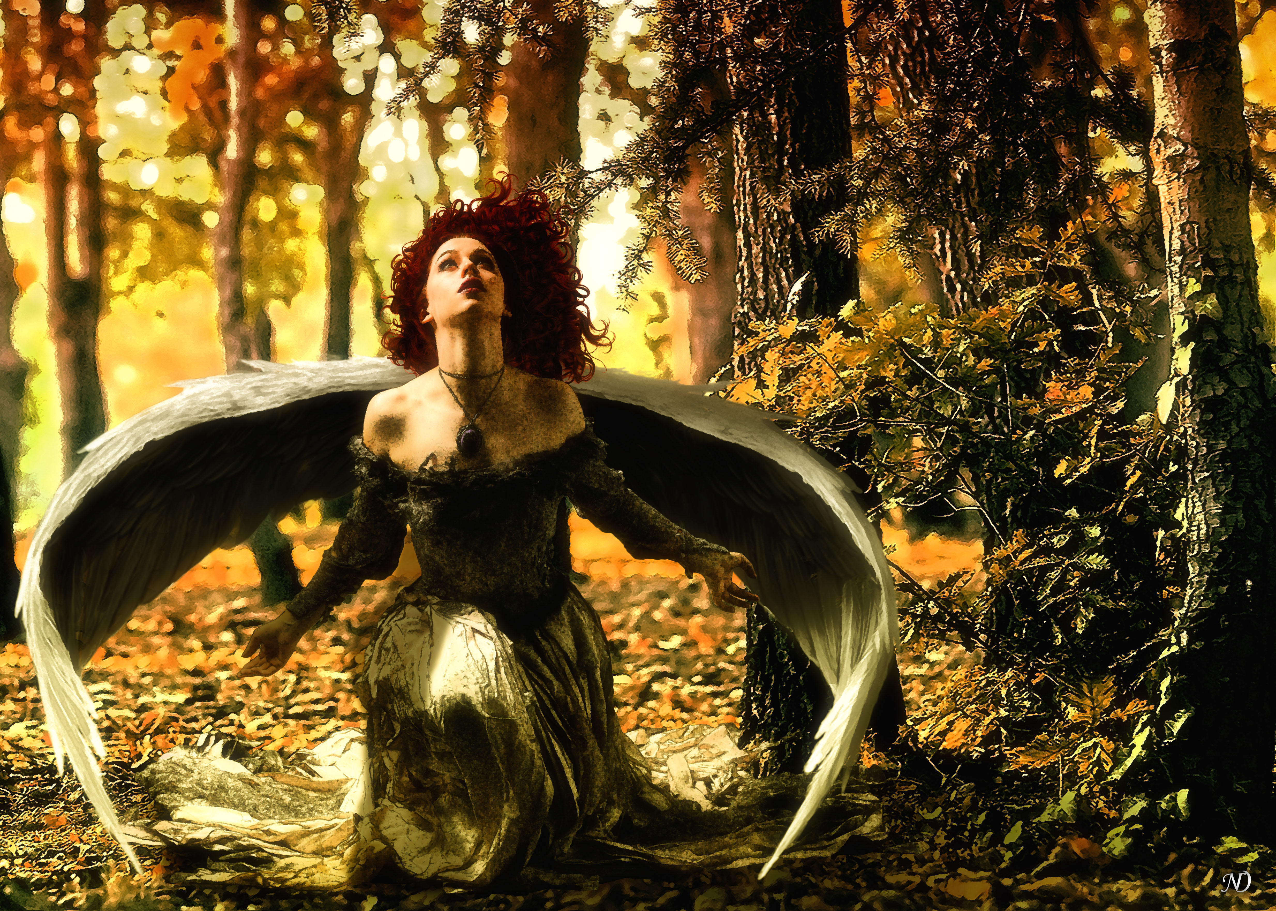 Laden Sie das Fantasie, Engel, Wald, Flügel-Bild kostenlos auf Ihren PC-Desktop herunter