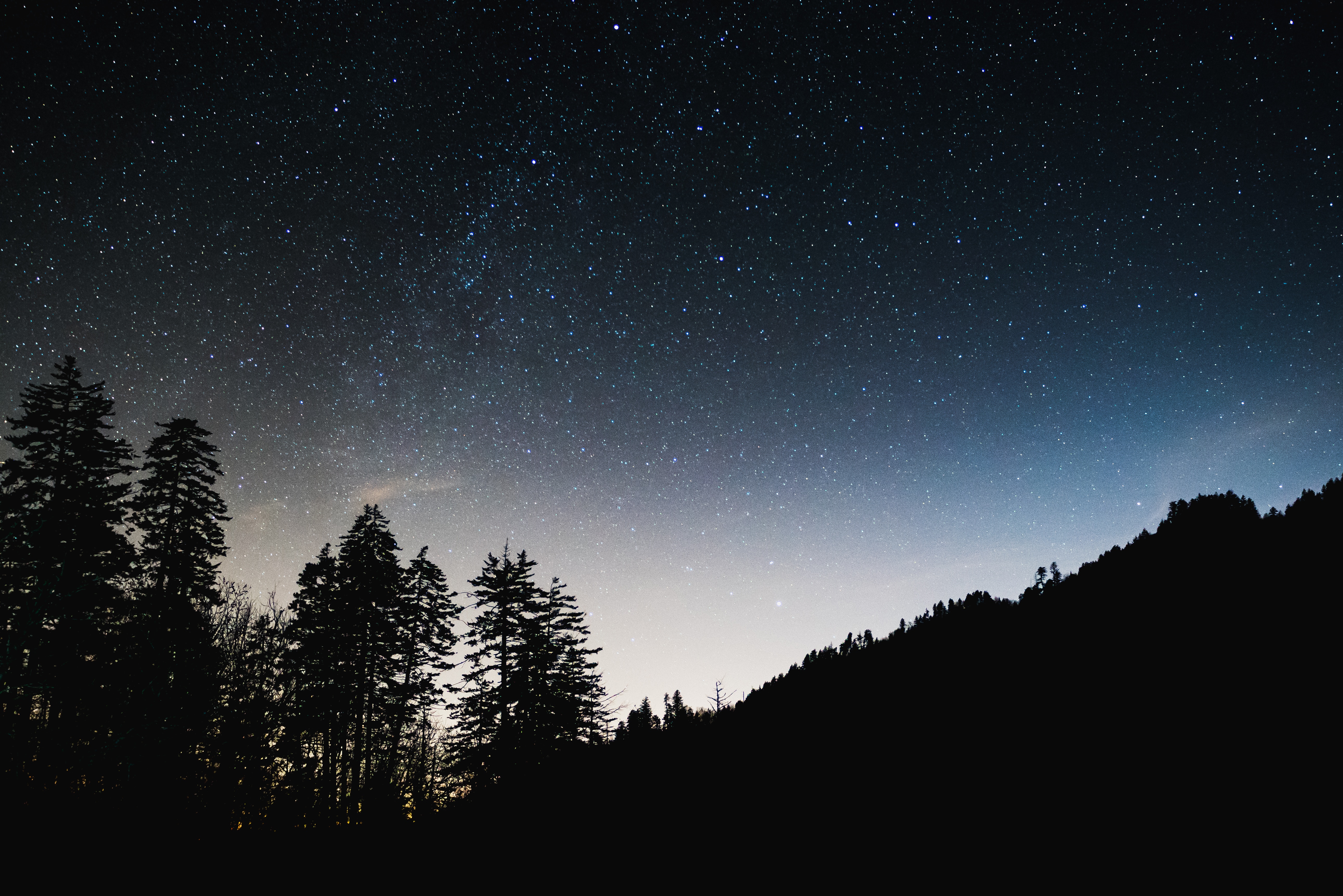 Download mobile wallpaper Trees, Sky, Starry Sky, Shine, Brilliance, Night, Dark for free.