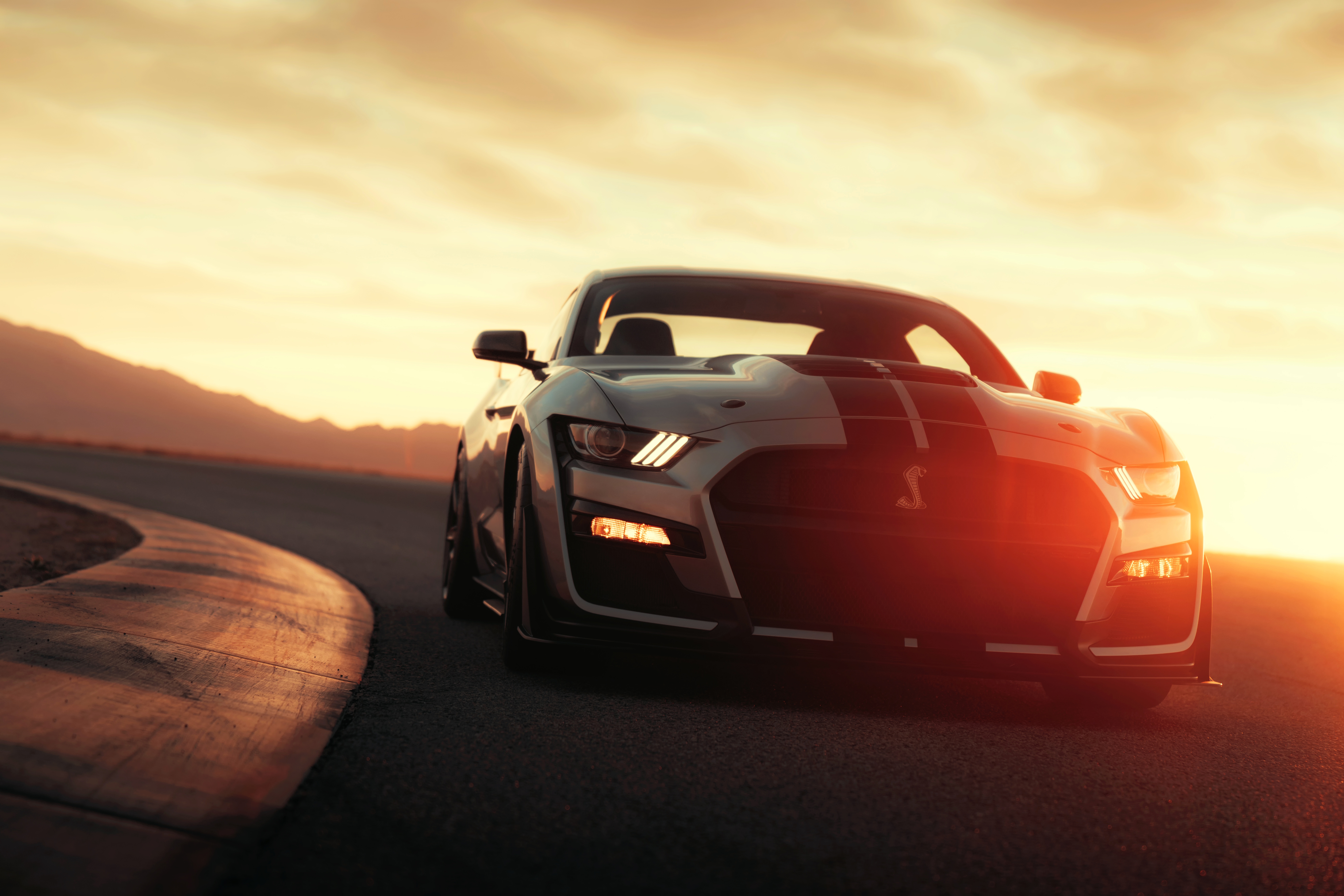 ford mustang shelby, muscle car, ford mustang shelby gt500, ford mustang, vehicles, car, ford, silver car