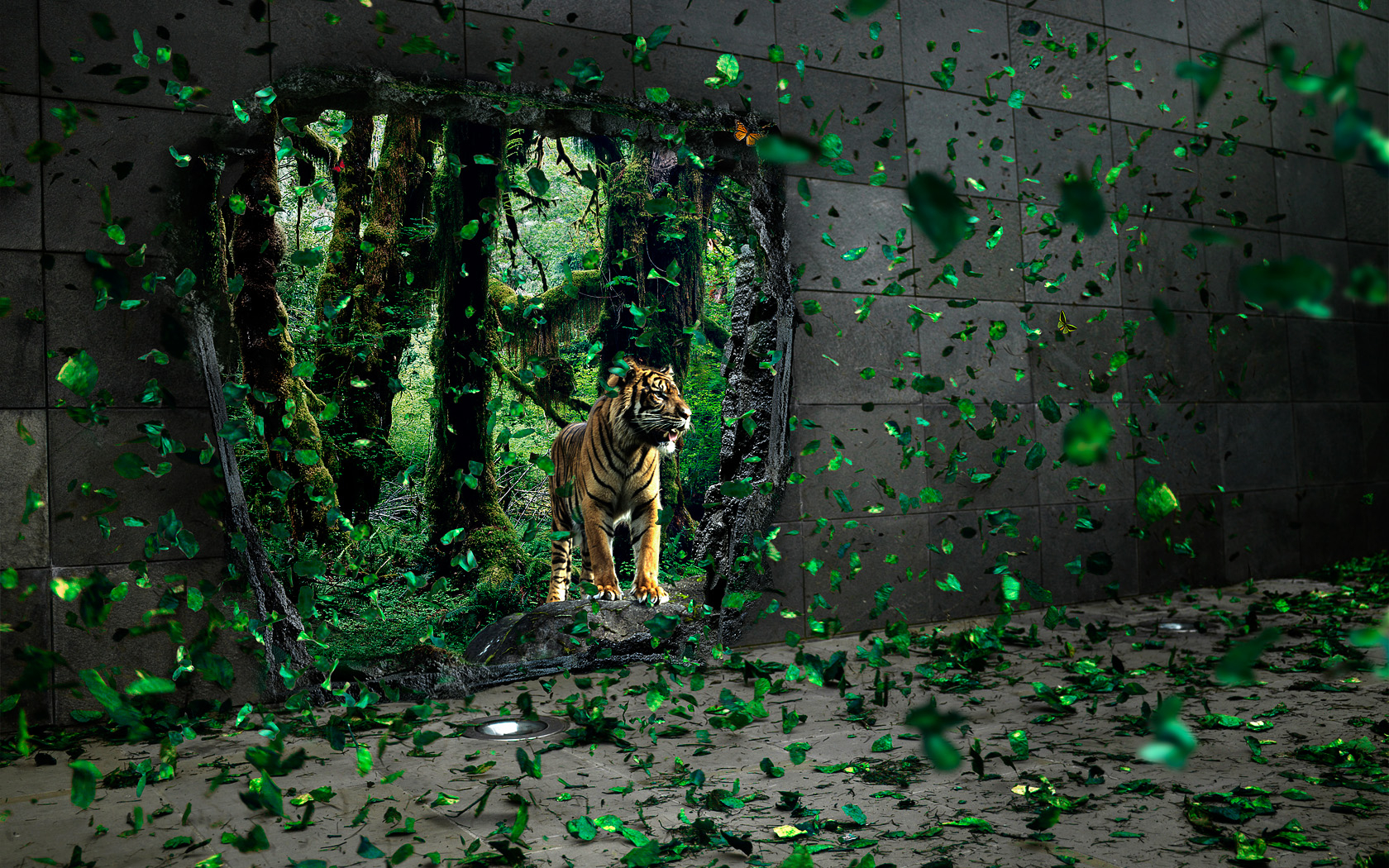 522464 descargar imagen animales, tigre, gatos: fondos de pantalla y protectores de pantalla gratis