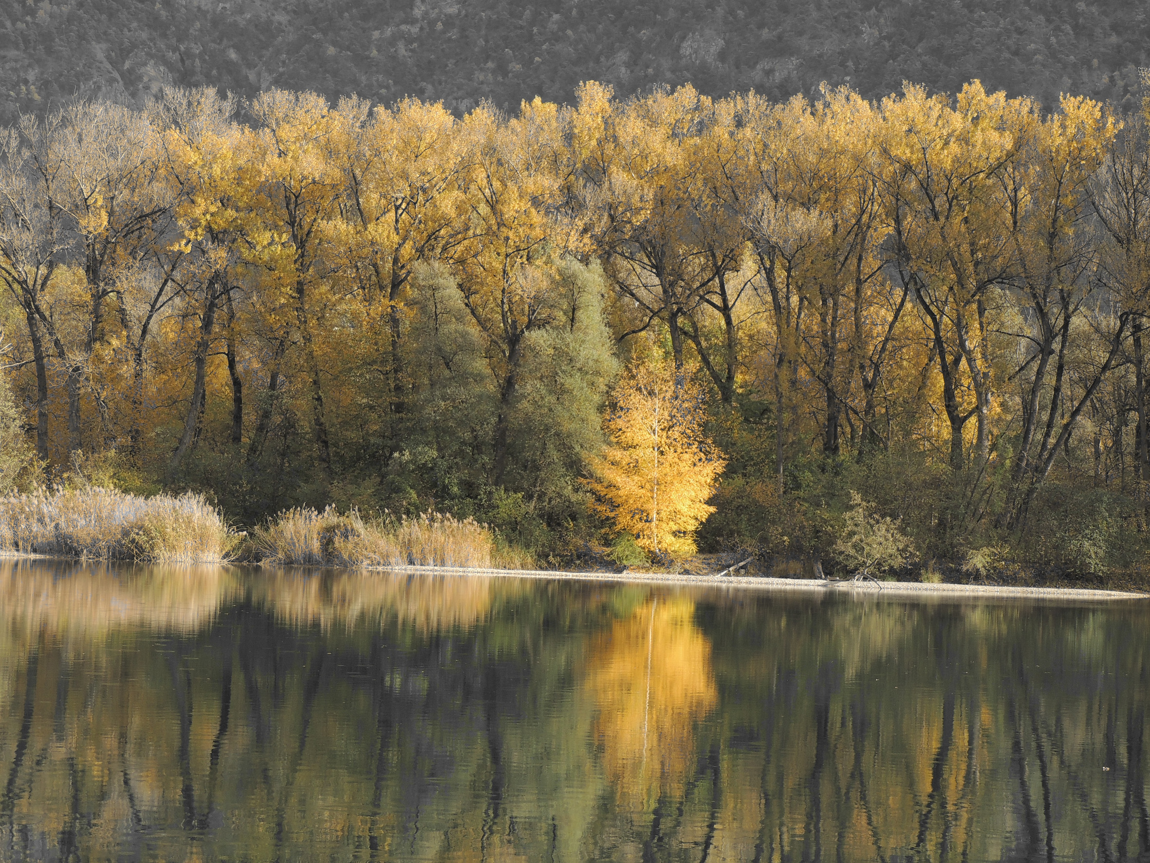 Baixar papel de parede para celular de Lago, Terra/natureza gratuito.