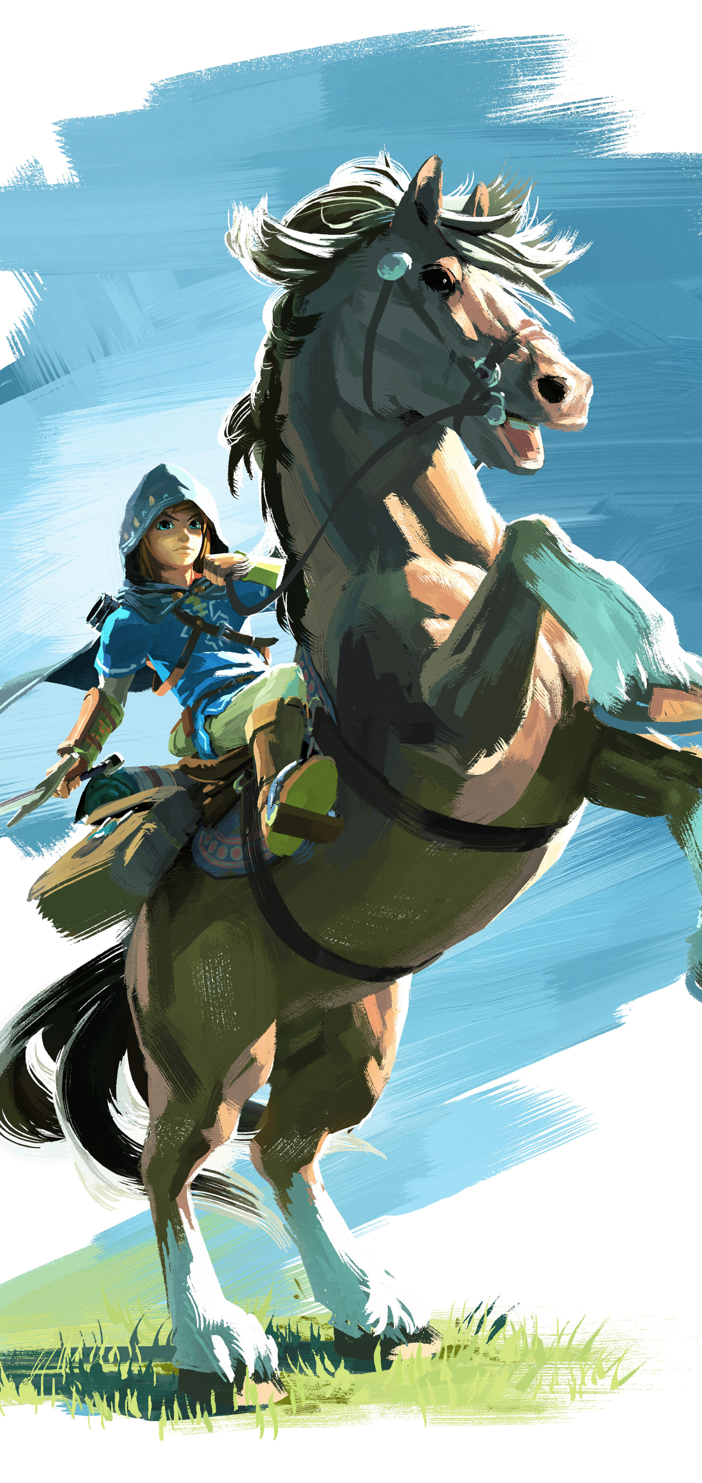 Download mobile wallpaper Link, Video Game, The Legend Of Zelda, Zelda, Nintendo, The Legend Of Zelda: Breath Of The Wild for free.