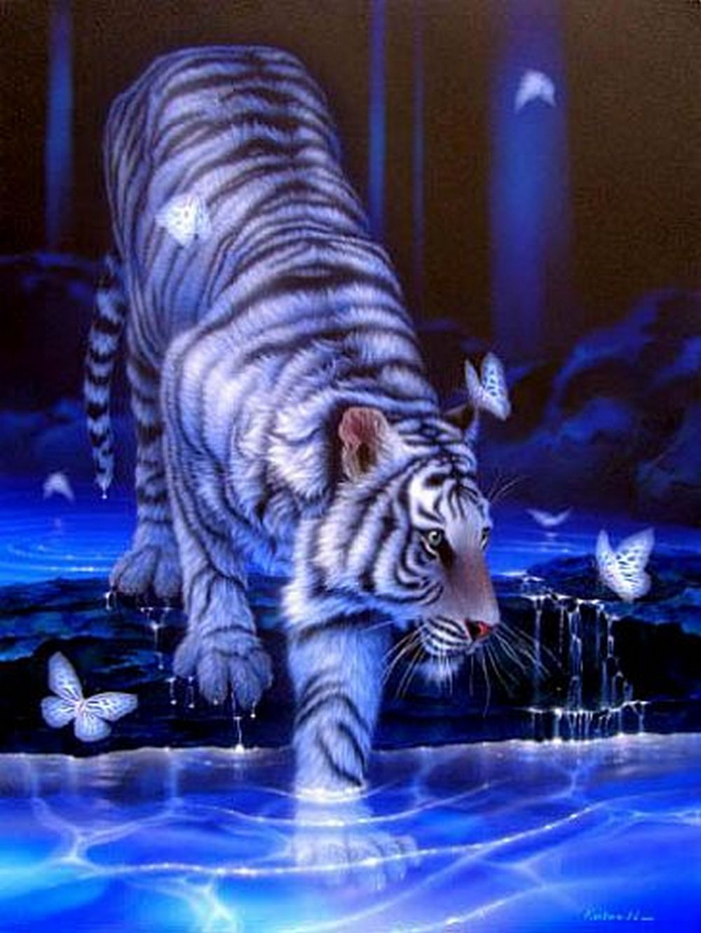 21193 descargar fondo de pantalla imágenes, tigres, animales, azul: protectores de pantalla e imágenes gratis