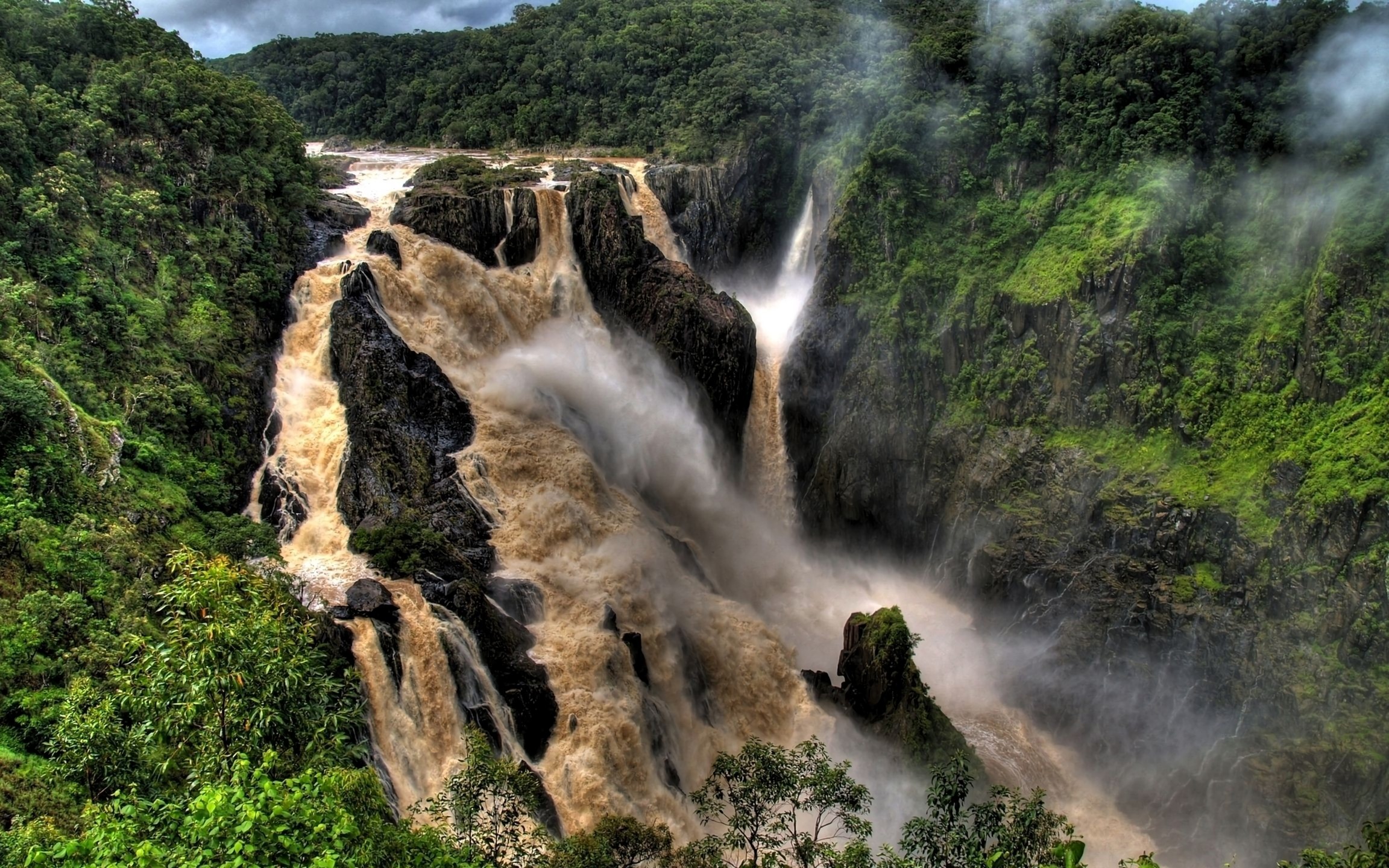 Descarga gratuita de fondo de pantalla para móvil de Cascadas, Cascada, Bosque, Árbol, Tierra/naturaleza.