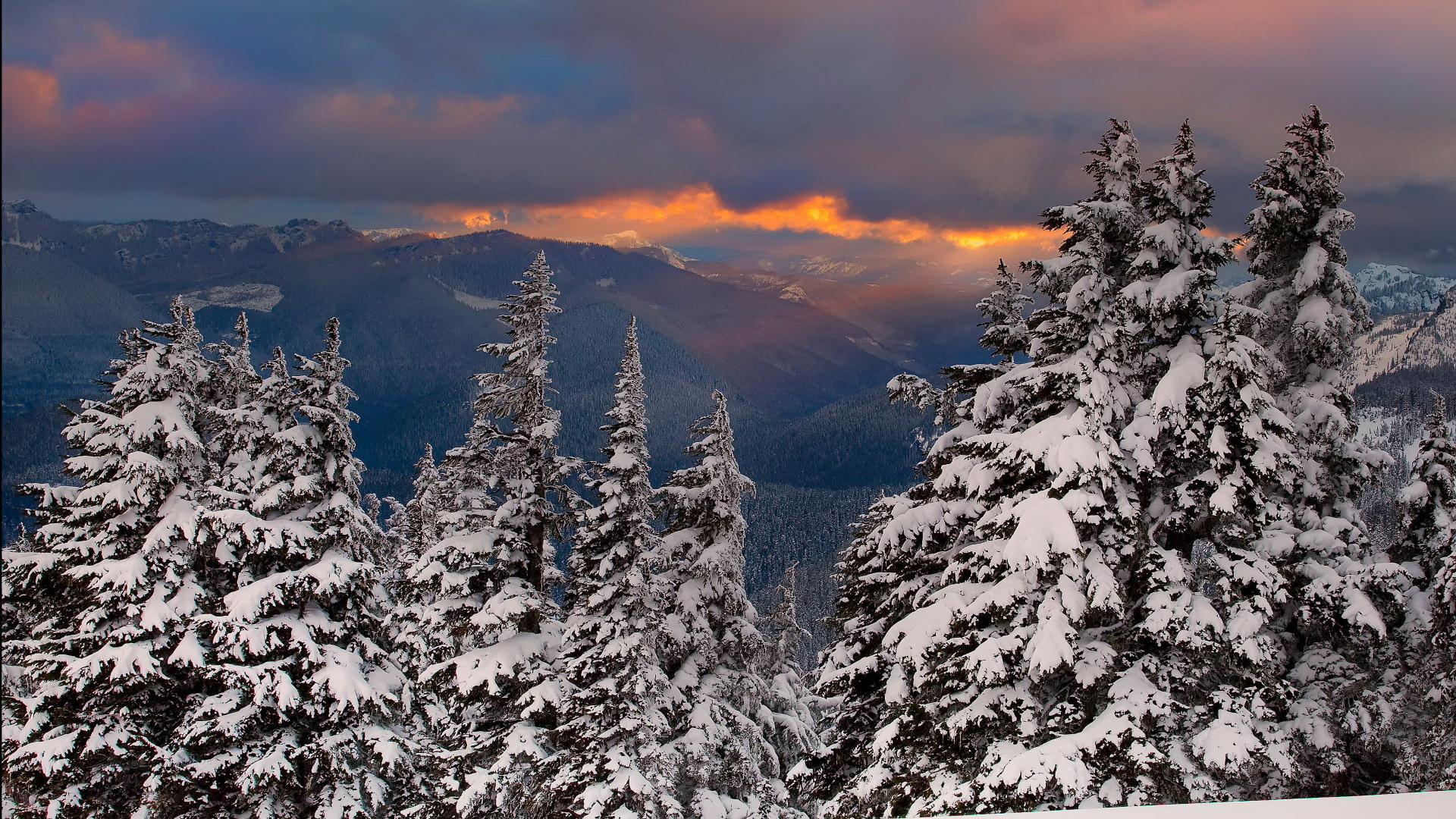 Descarga gratis la imagen Invierno, Tierra/naturaleza en el escritorio de tu PC