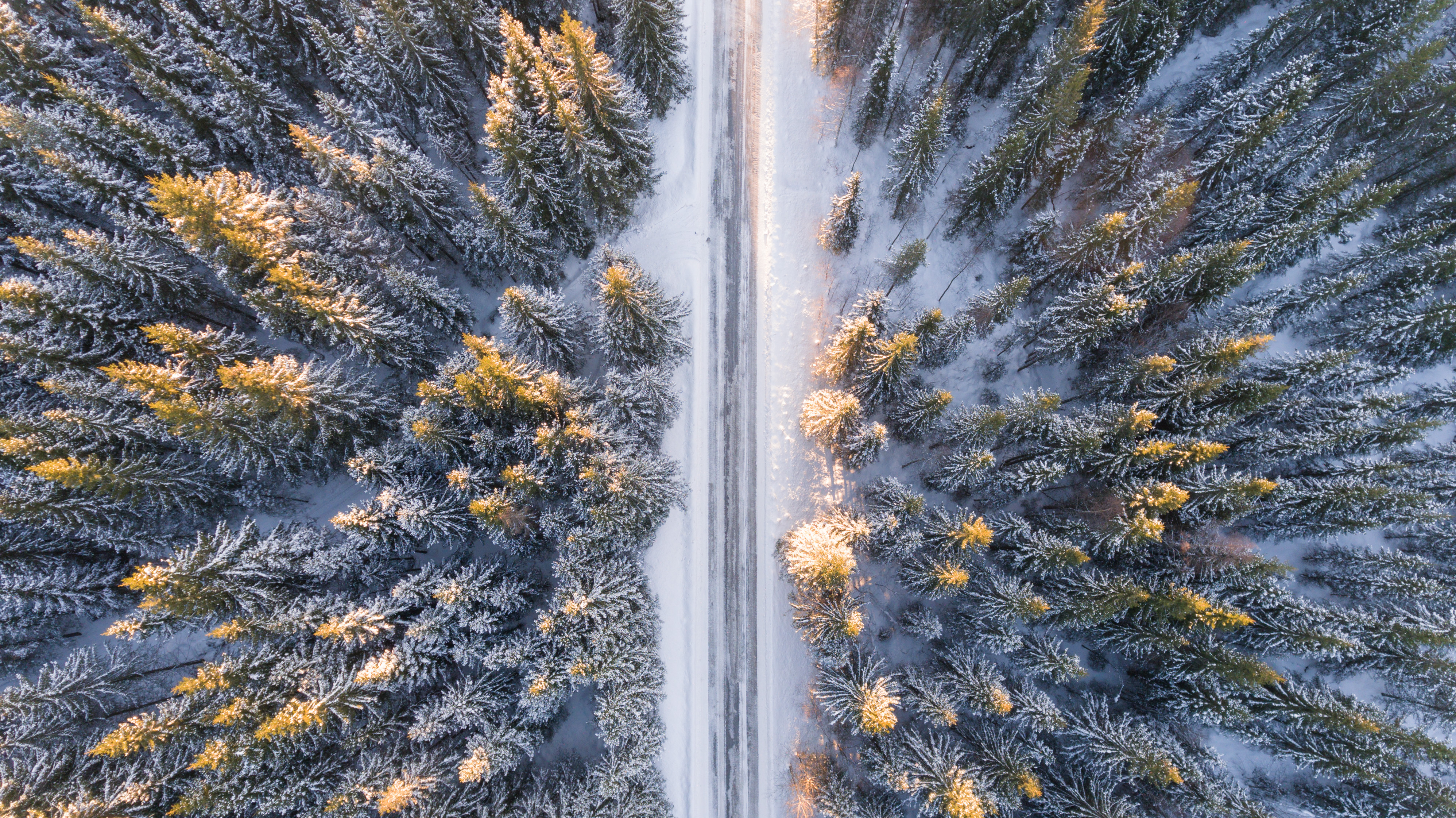 Free download wallpaper Winter, Nature, Trees, Road, View From Above on your PC desktop