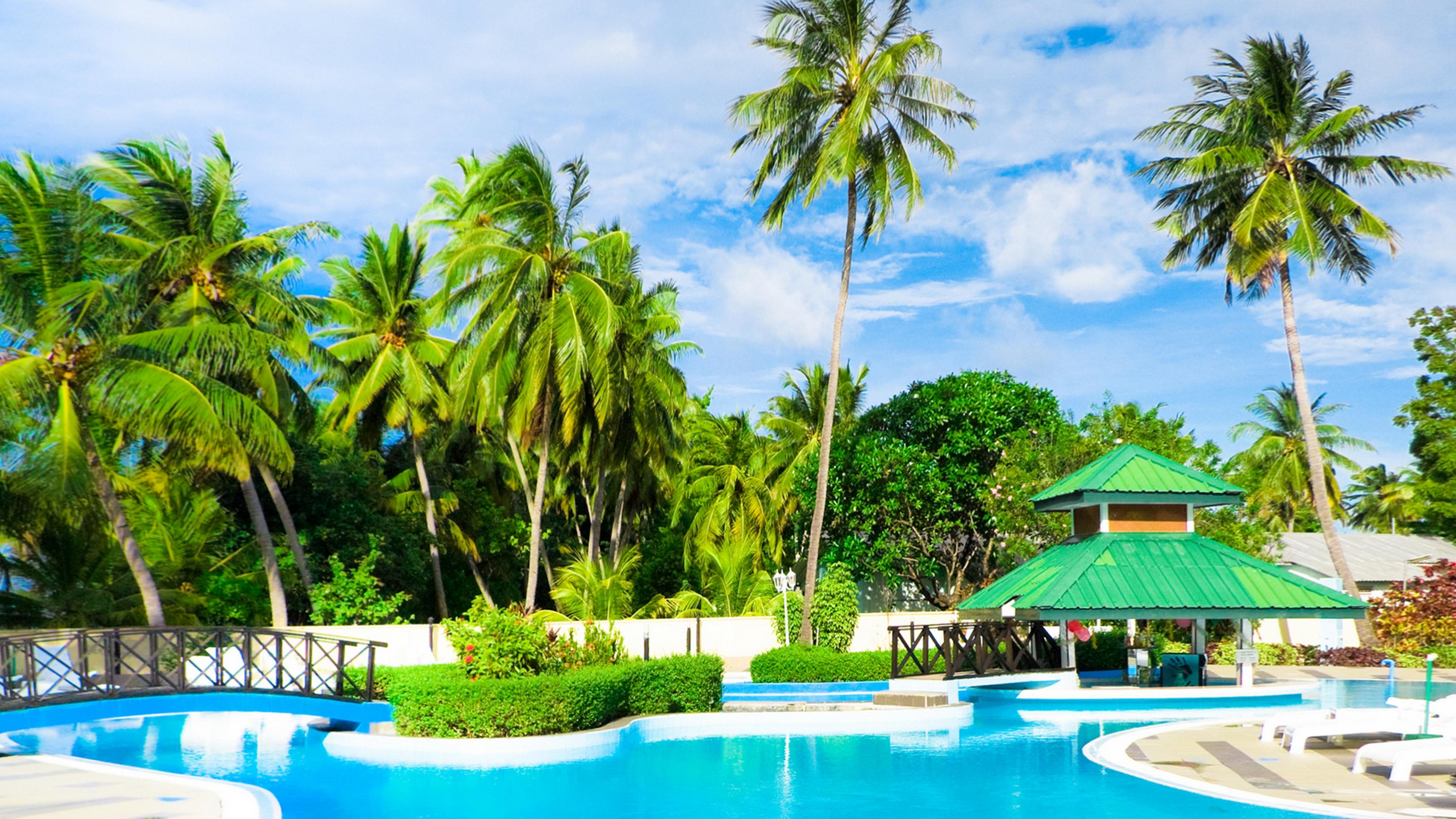 resort, man made, gazebo, palm tree, pool, tropical