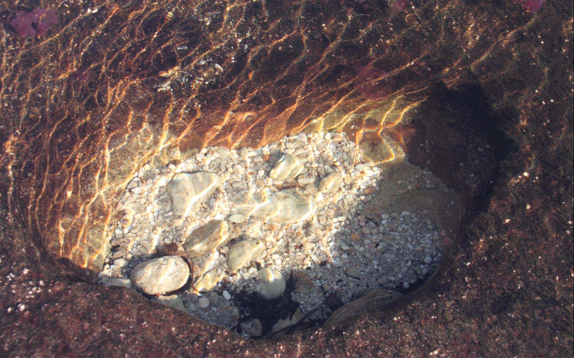 earth, caño cristales