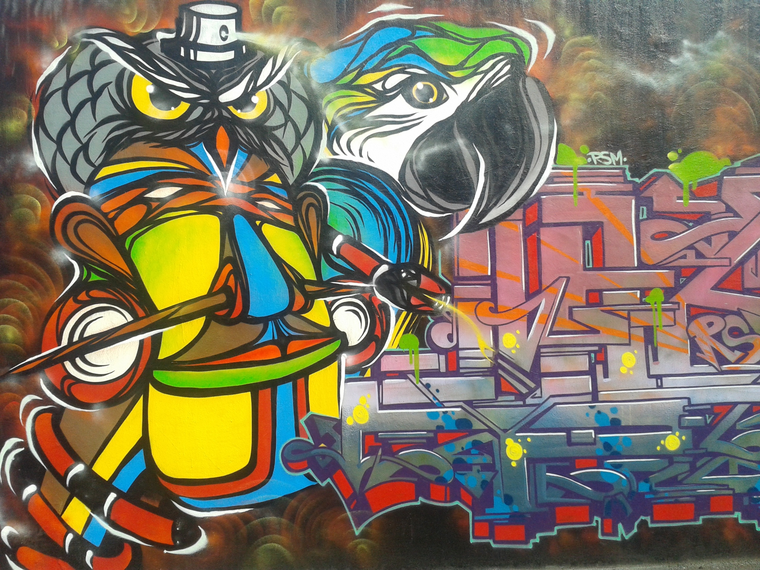 Download mobile wallpaper Owl, Bird, Graffiti, Artistic, Parrot for free.