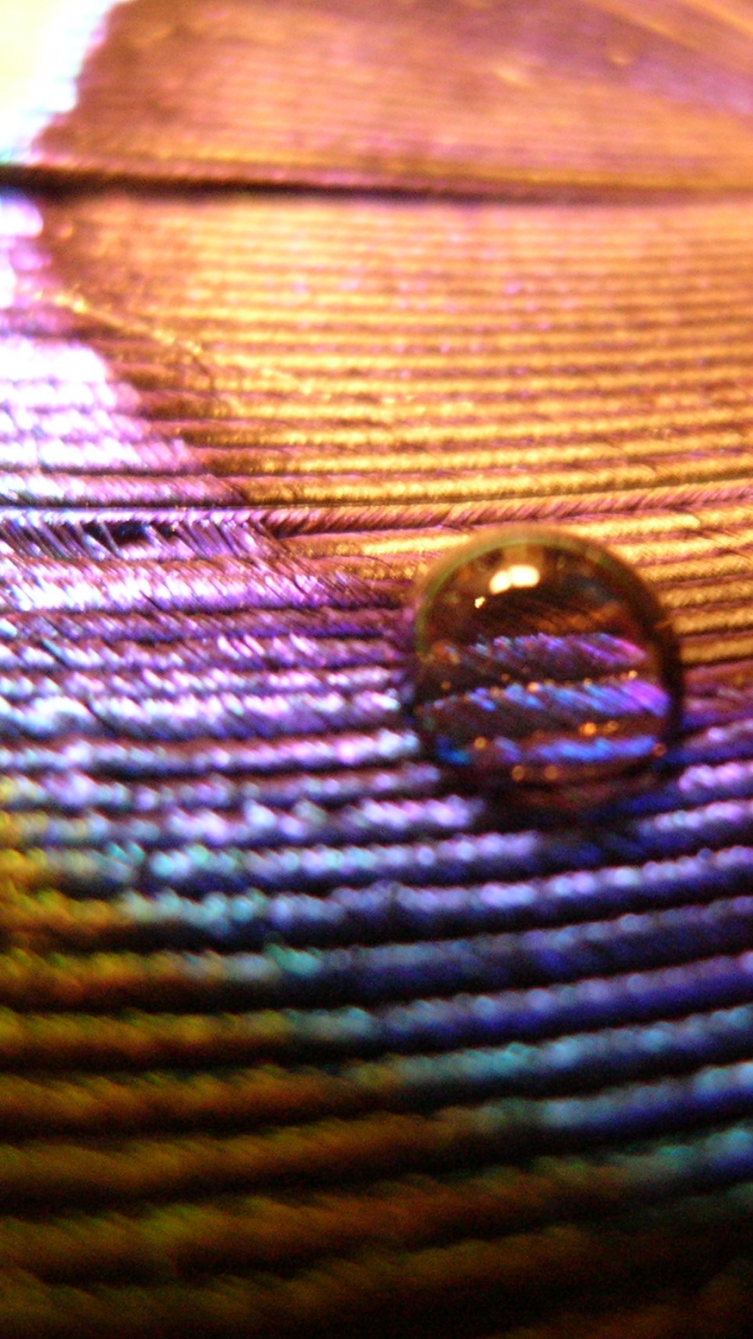 Download mobile wallpaper Love, Violet, Feather, Brown, Earth, Water Drop for free.