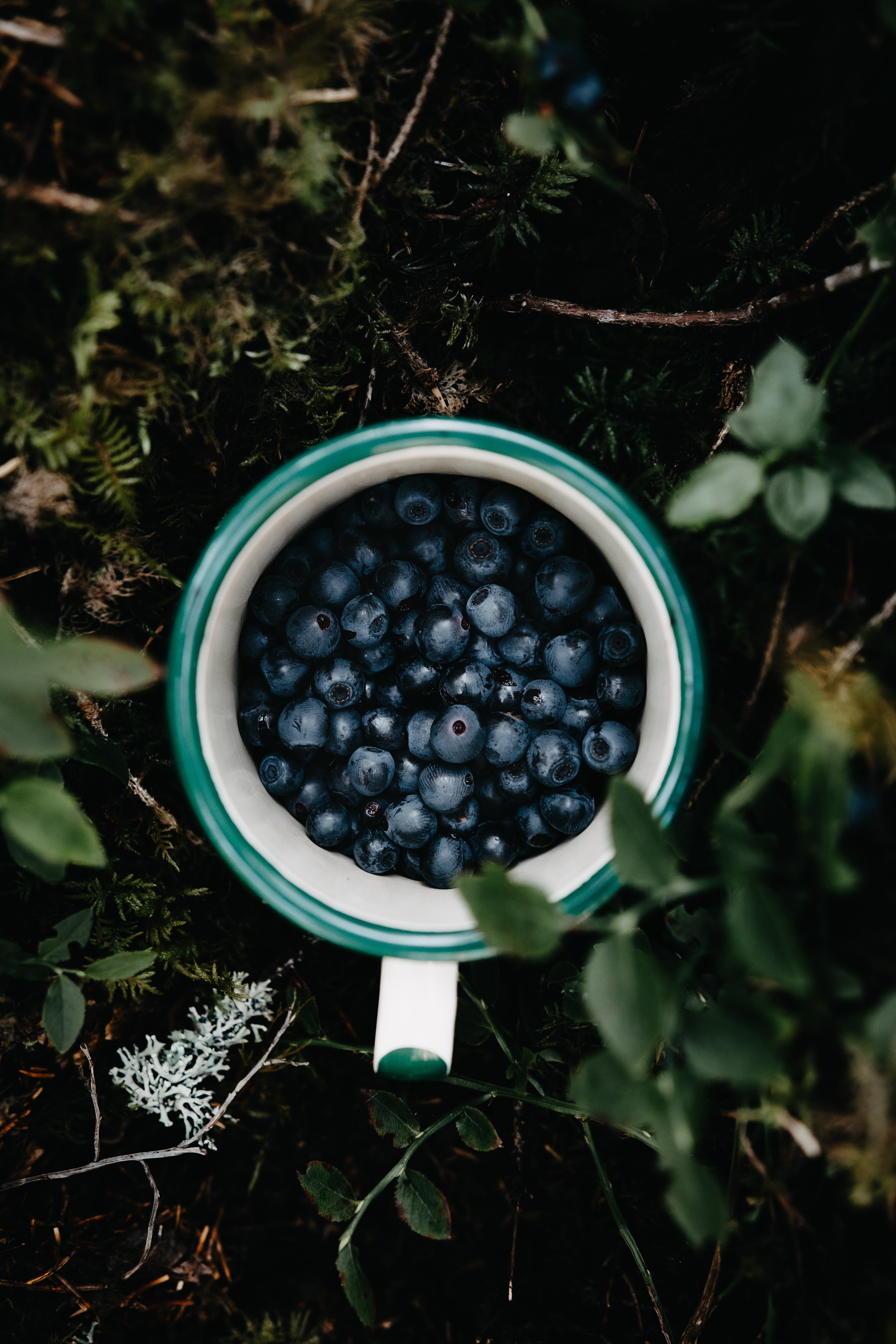 Download mobile wallpaper Cup, Grass, Bilberries, Mug, Leaves, Berry, Food for free.