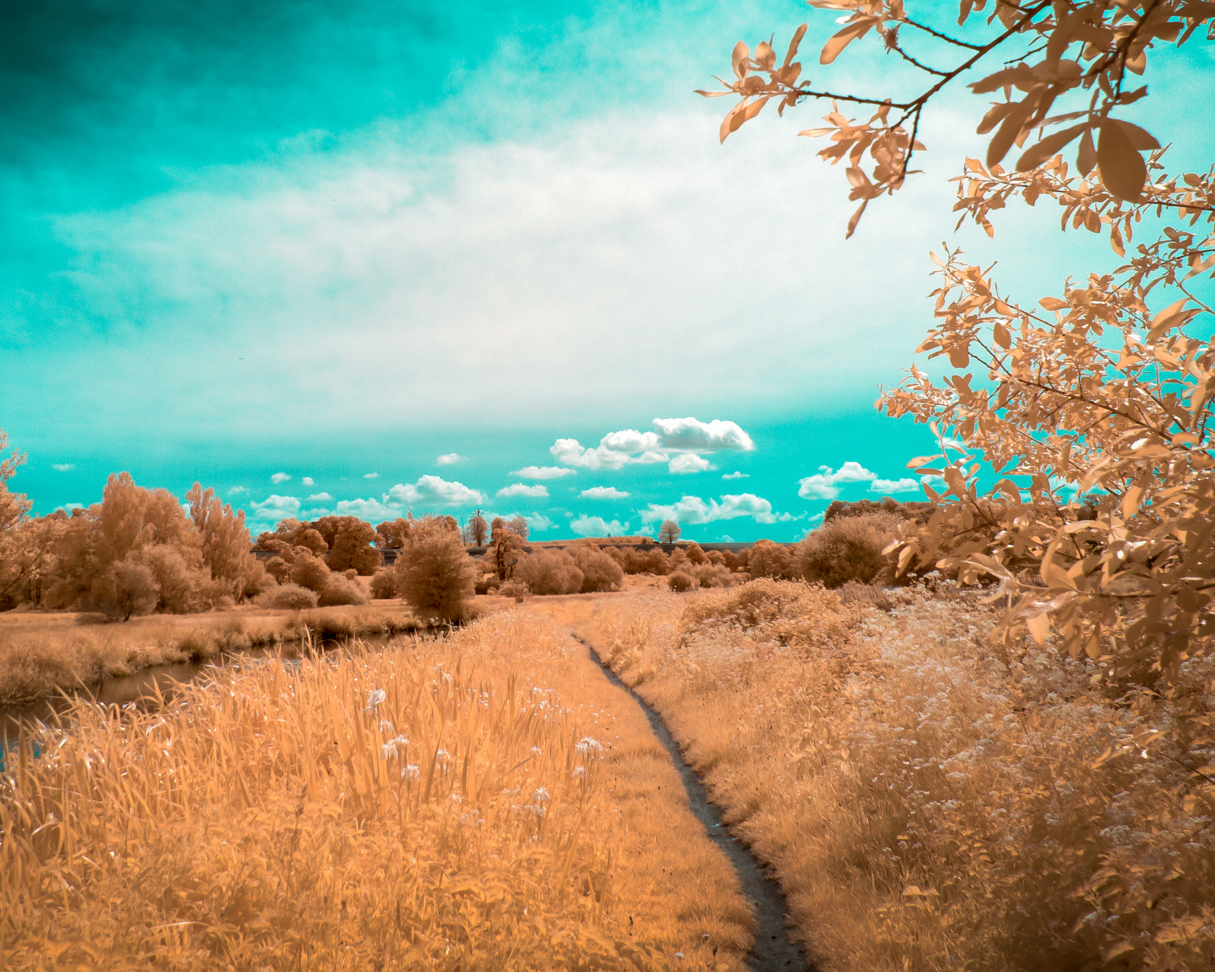 Laden Sie das Landschaft, Natur, Baum, Fluss, Pfad, Weg, Wolke, Erde/natur-Bild kostenlos auf Ihren PC-Desktop herunter