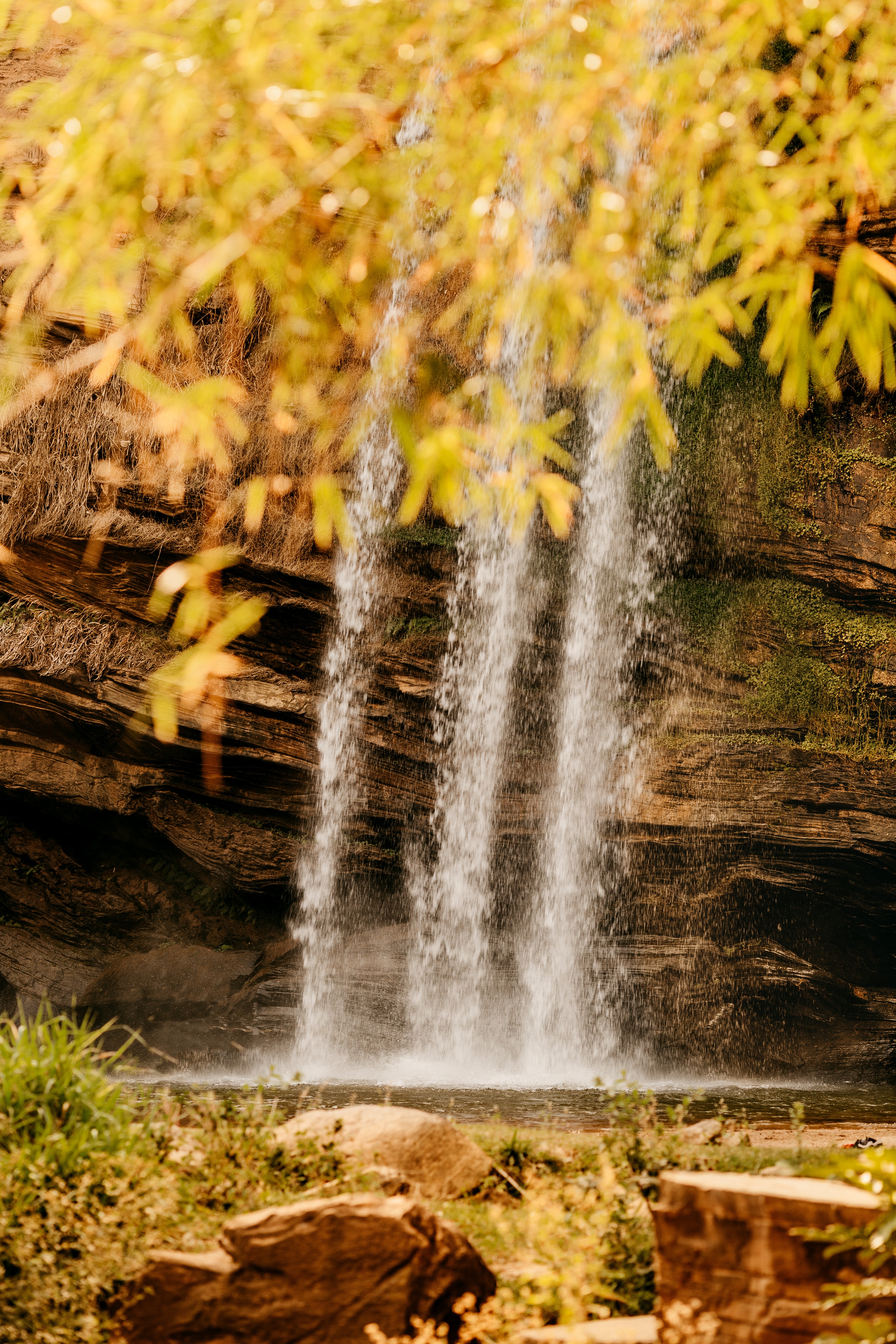 Laden Sie das Wasserfall, Felsen, Rock, Vegetation, Wasser, Stones, Natur-Bild kostenlos auf Ihren PC-Desktop herunter