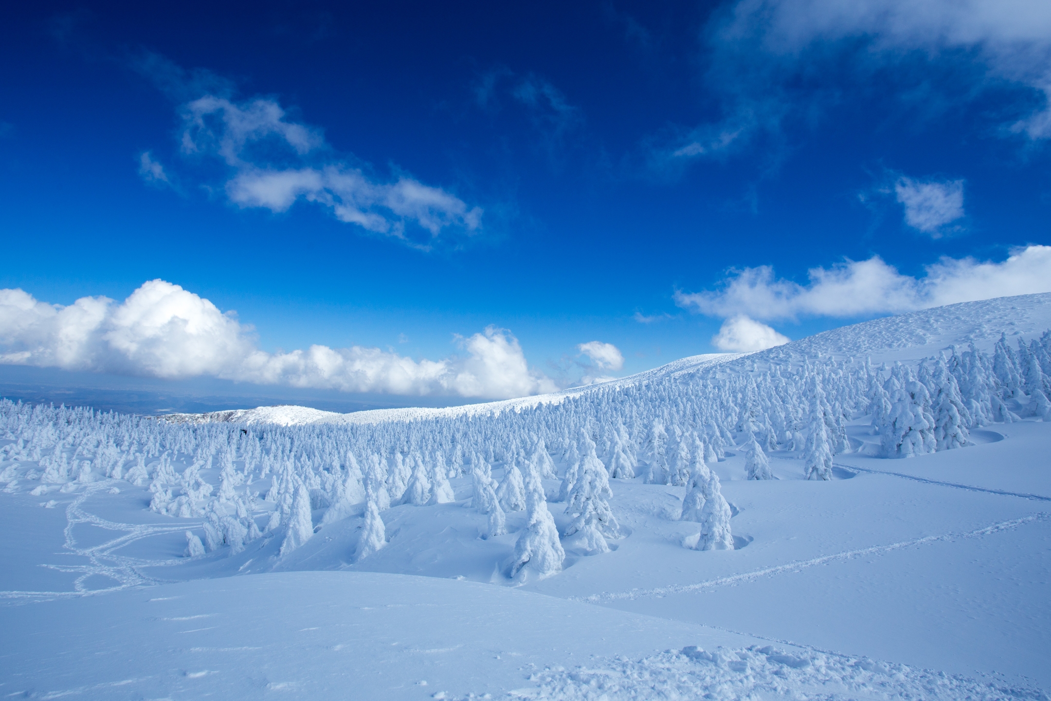 Download mobile wallpaper Landscape, Winter, Nature, Sky, Snow, Forest, Earth, Cloud for free.