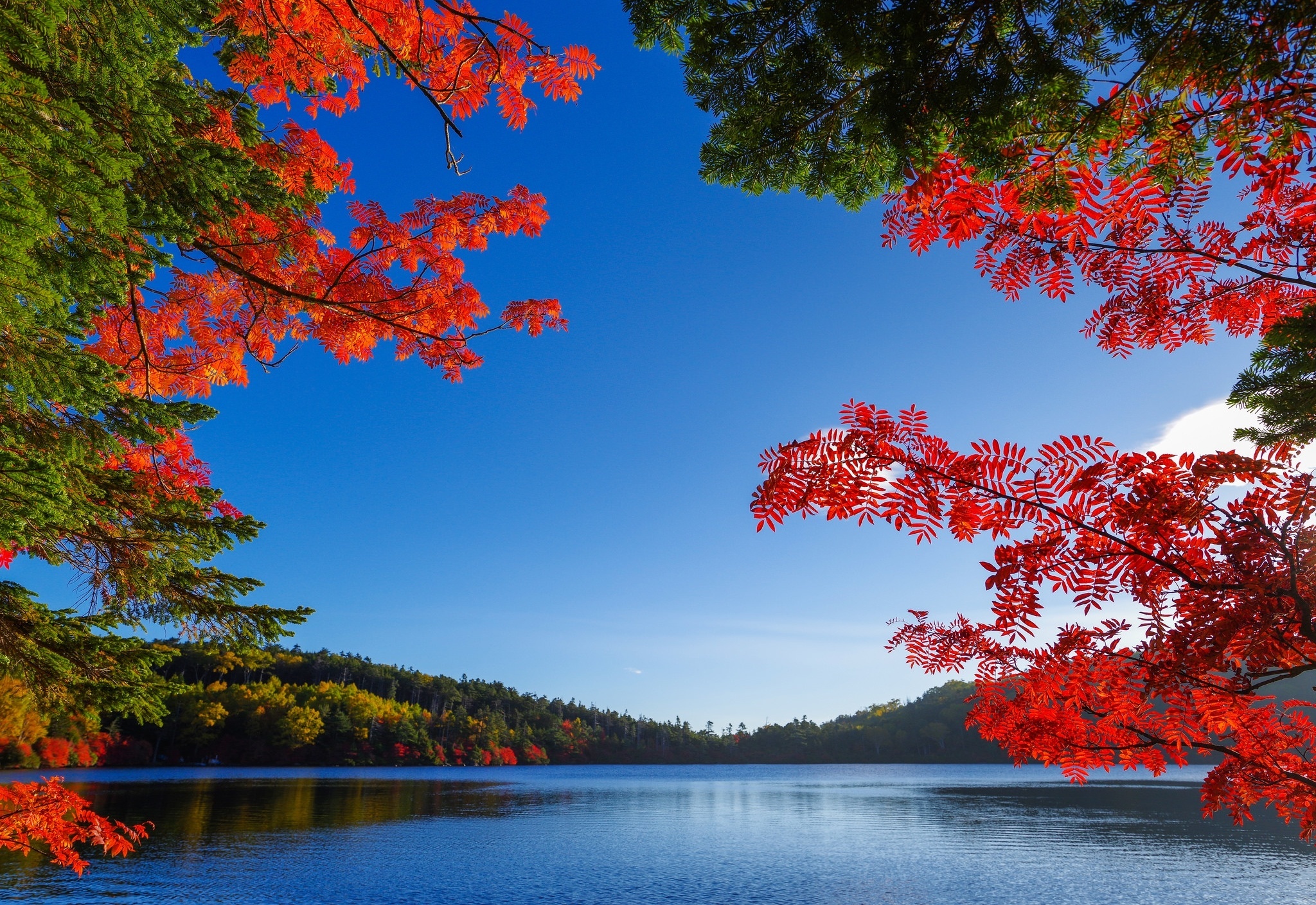 Téléchargez gratuitement l'image Terre/nature, Rivière sur le bureau de votre PC