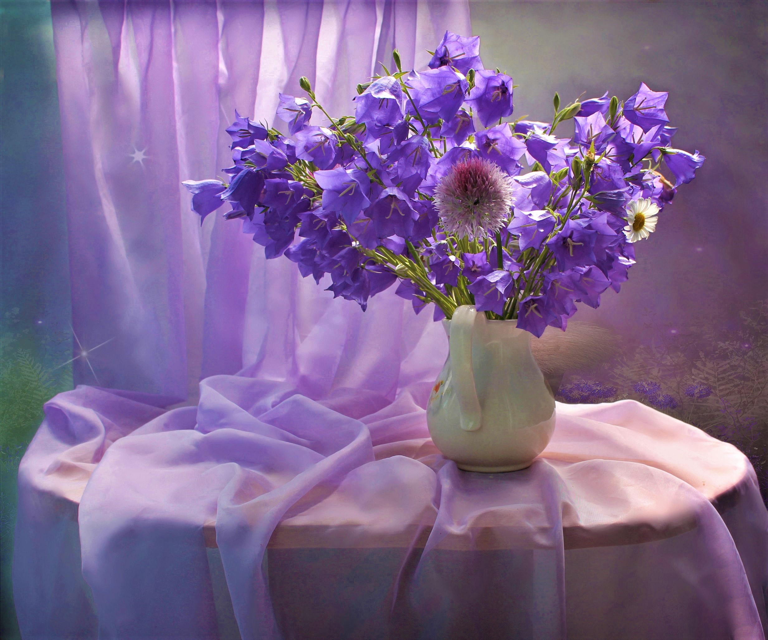 Download mobile wallpaper Still Life, Flower, Curtain, Photography, Purple Flower, Pitcher for free.