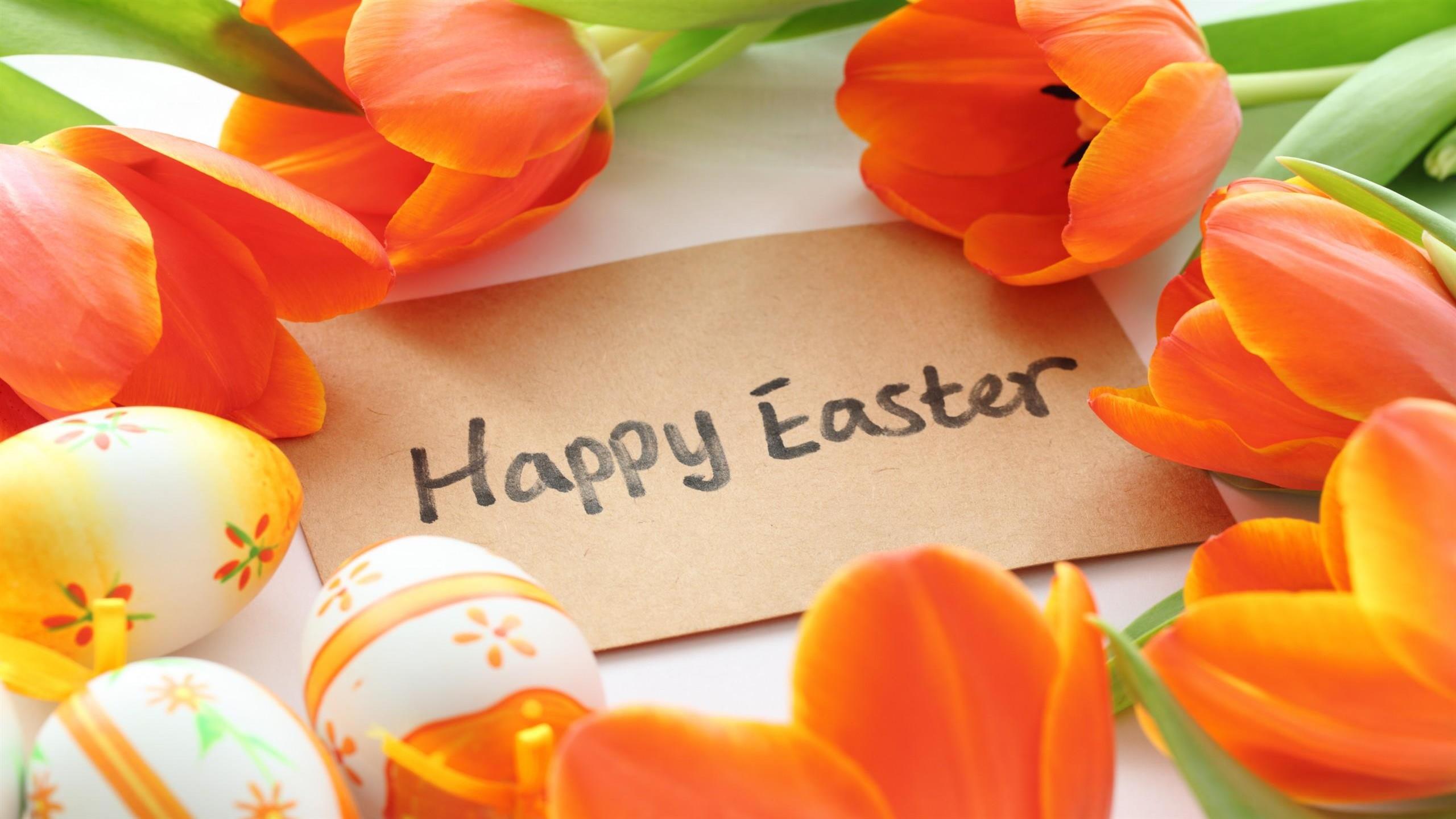 Download mobile wallpaper Easter, Holiday, Tulip, Easter Egg for free.
