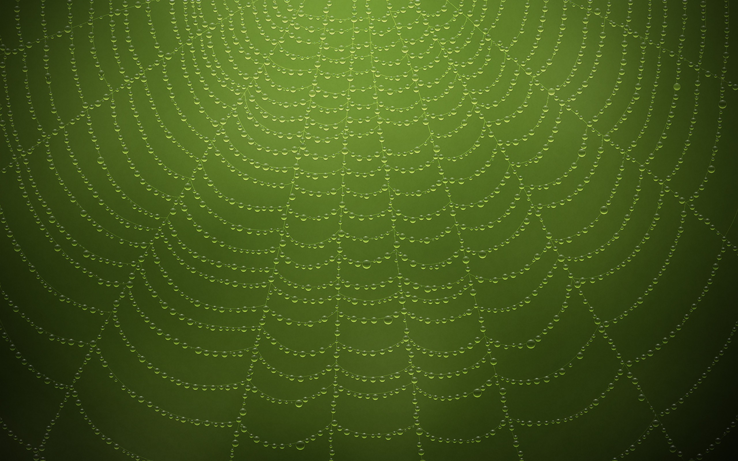 Handy-Wallpaper Spinnennetz, Fotografie kostenlos herunterladen.