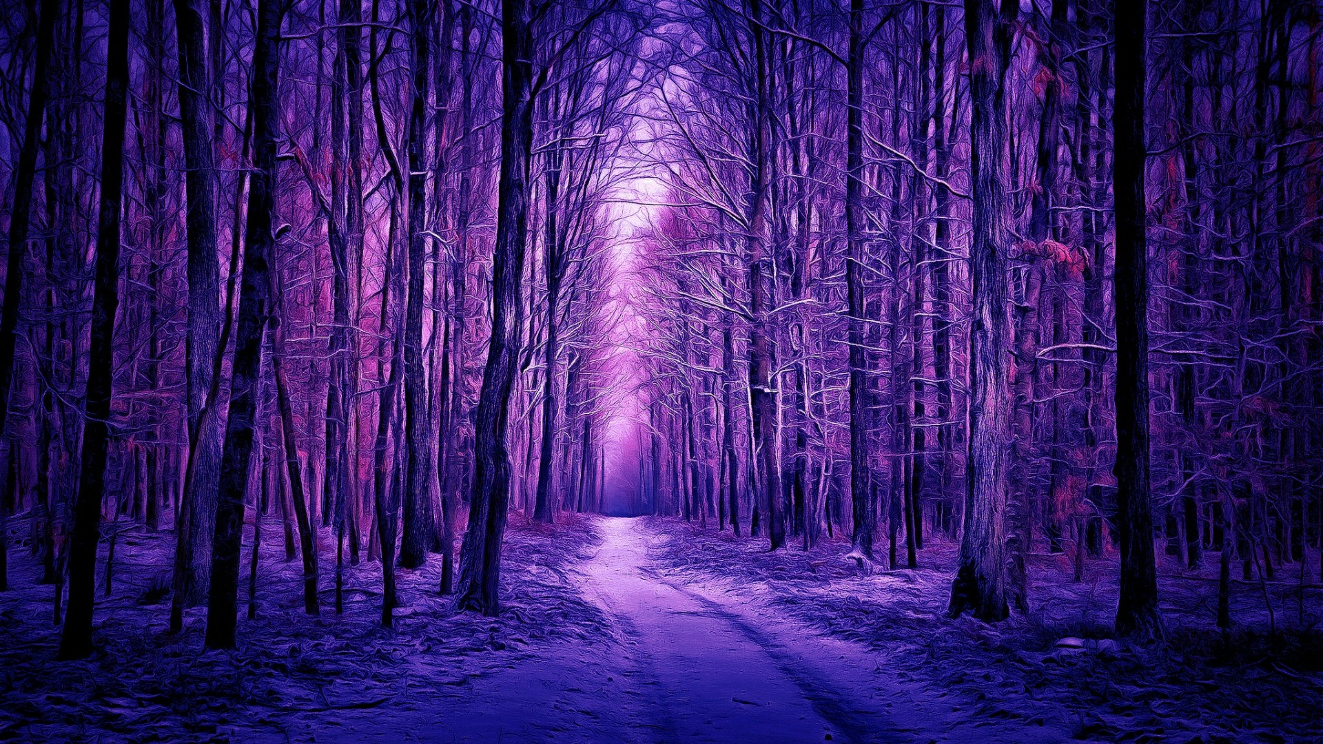 Скачать обои бесплатно Зима, Снег, Дорога, Лес, Дерево, Пурпурный, Земля/природа картинка на рабочий стол ПК
