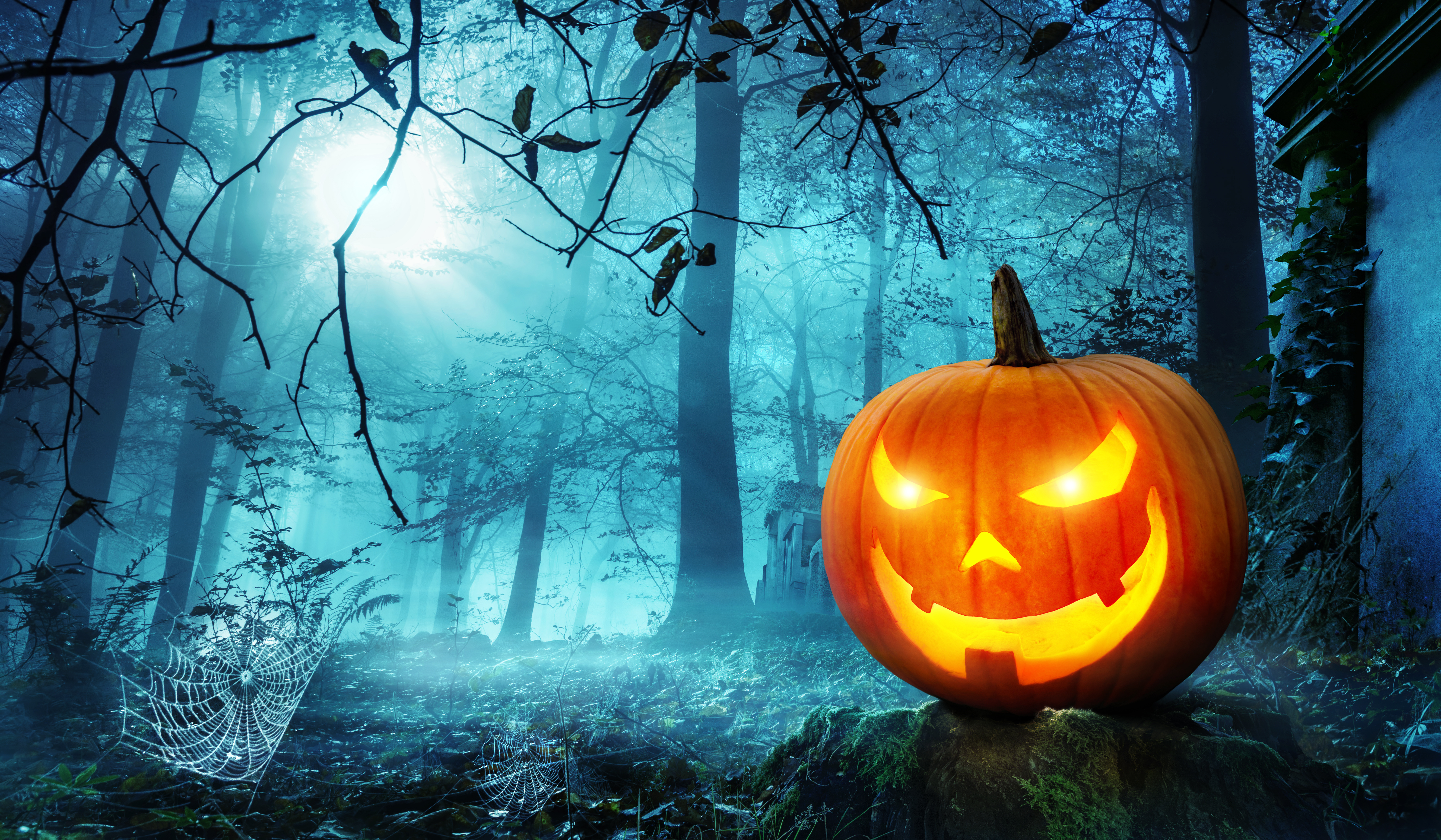 Téléchargez gratuitement l'image Halloween, Vacances, Citrouille D'halloween sur le bureau de votre PC