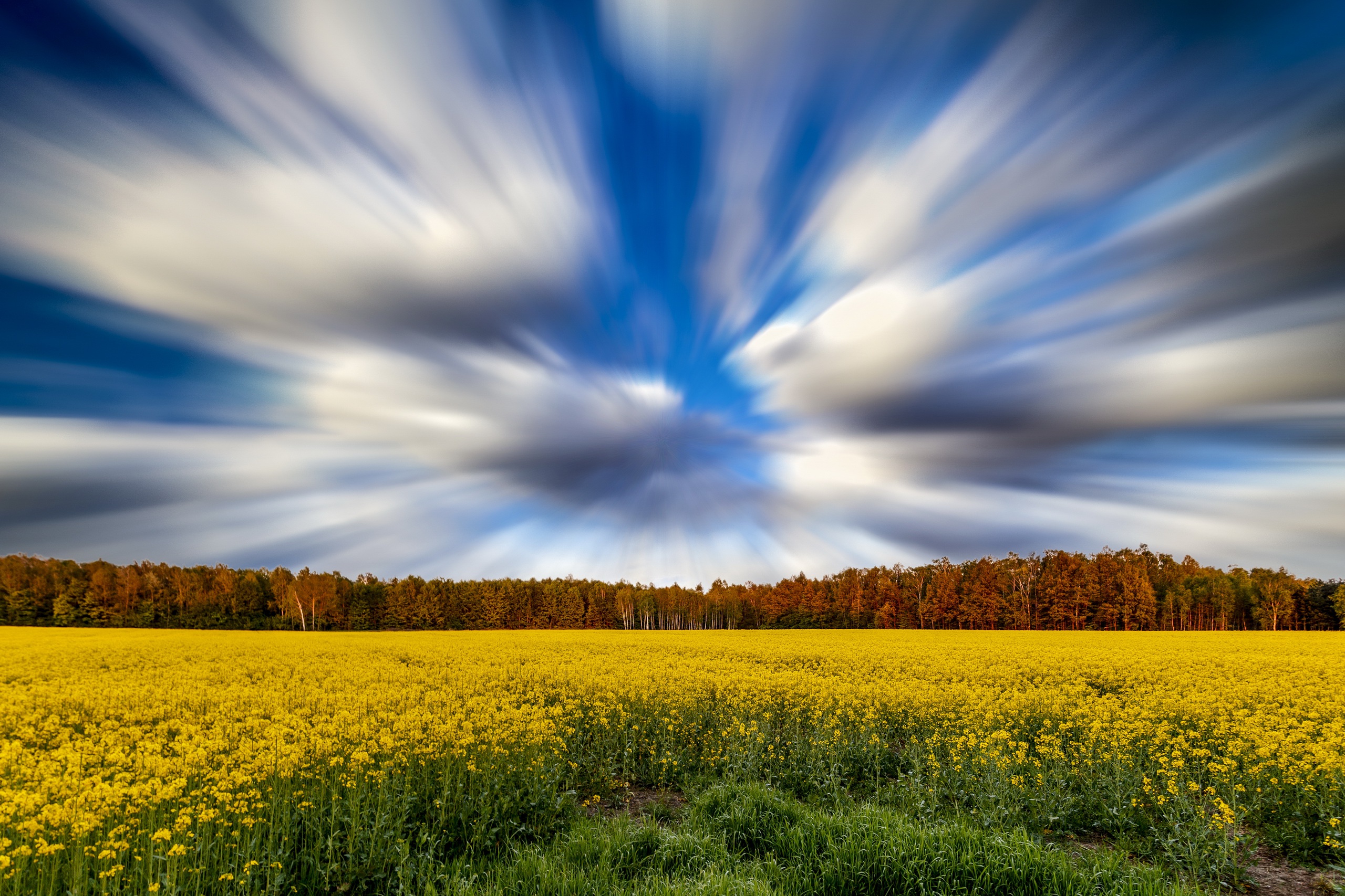 Download mobile wallpaper Nature, Sky, Summer, Flower, Earth, Field, Cloud, Yellow Flower, Rapeseed for free.