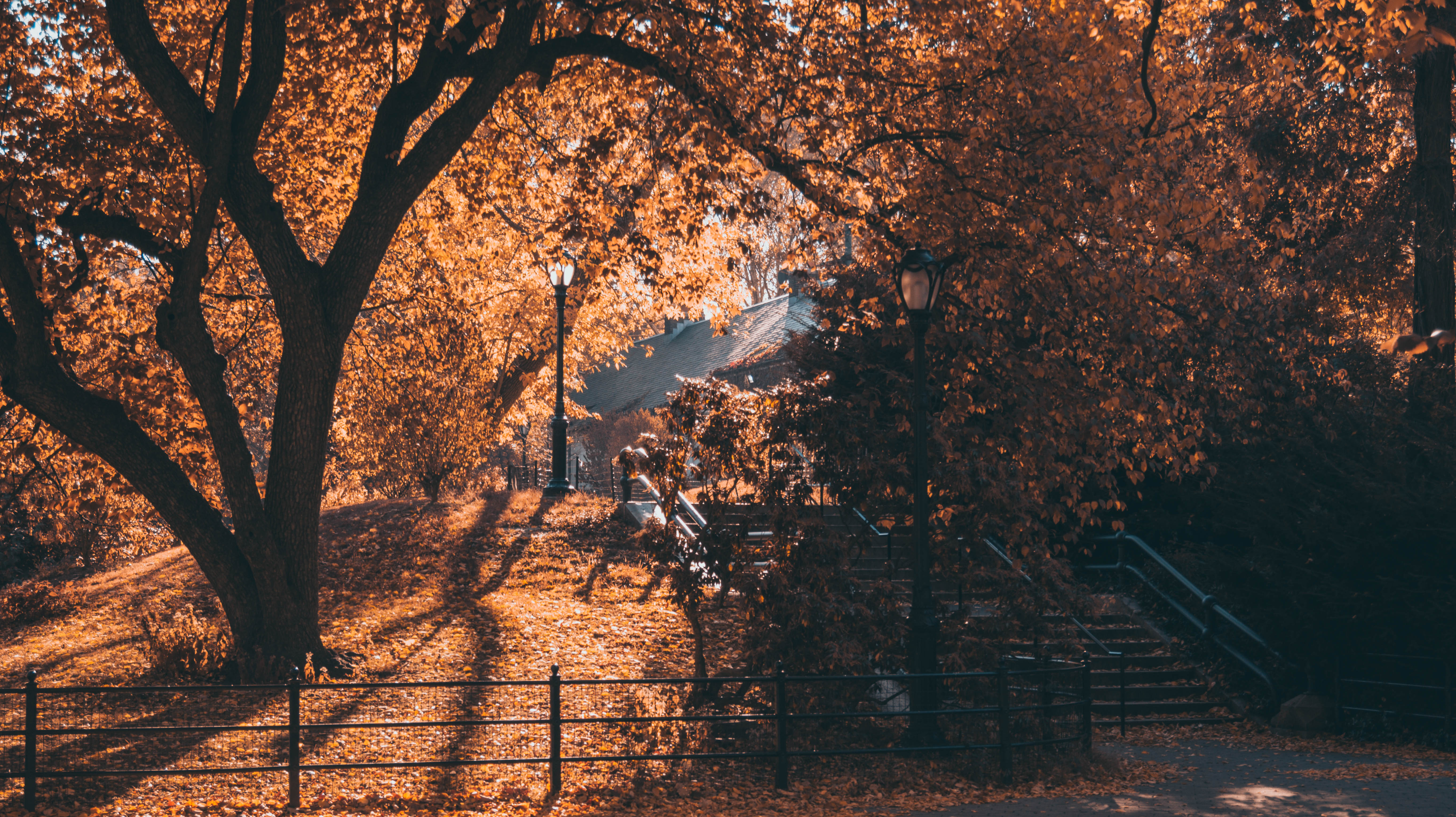 Téléchargez des papiers peints mobile Automne, Photographie gratuitement.