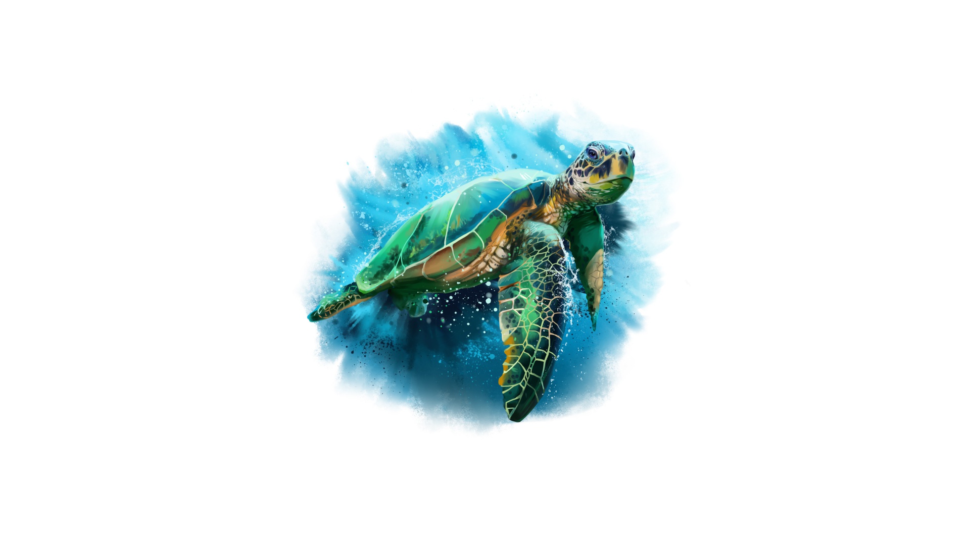 Download mobile wallpaper Turtles, Drawing, Animal, Turtle for free.