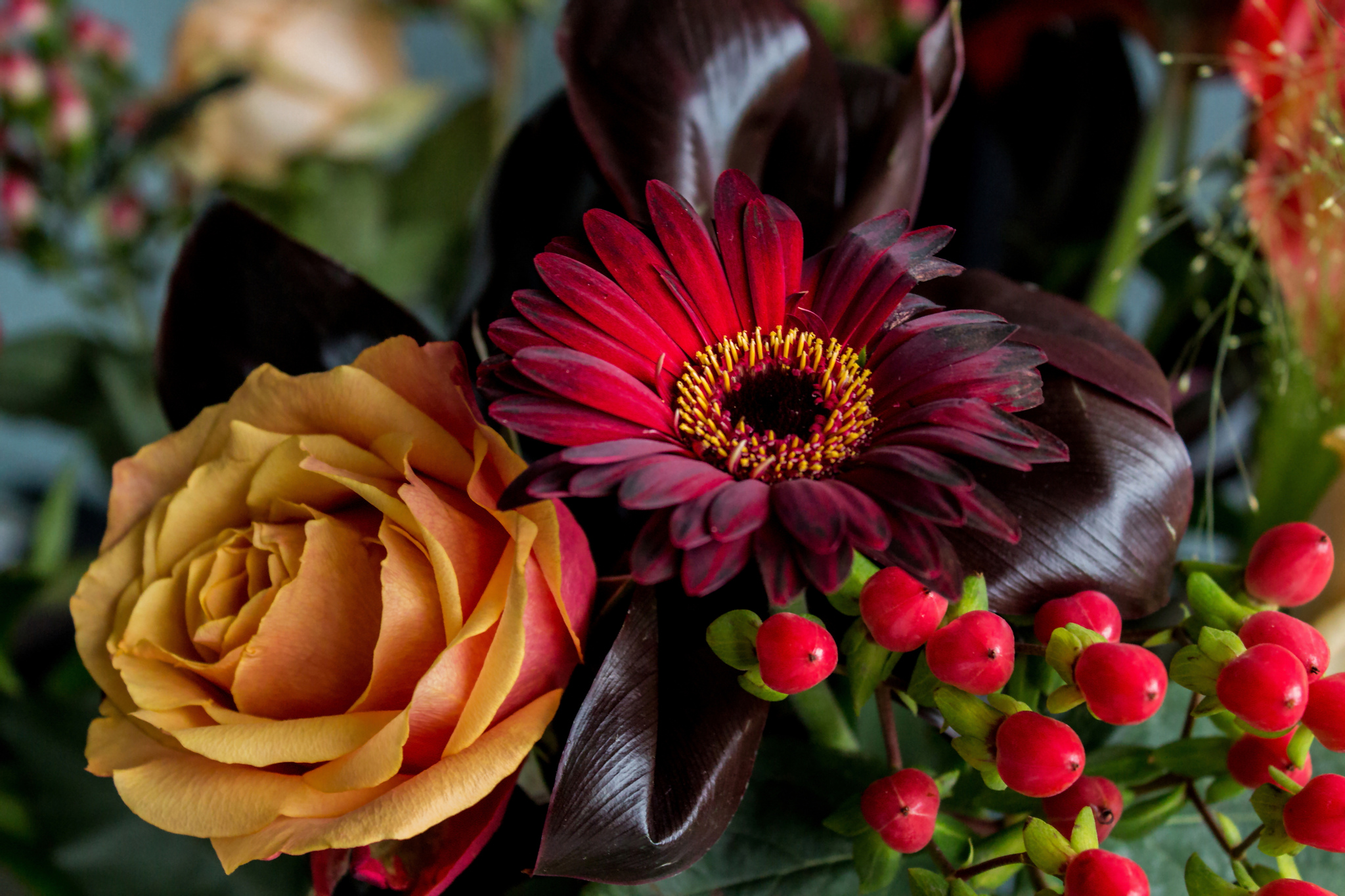 Download mobile wallpaper Still Life, Flower, Rose, Berry, Gerbera, Photography for free.