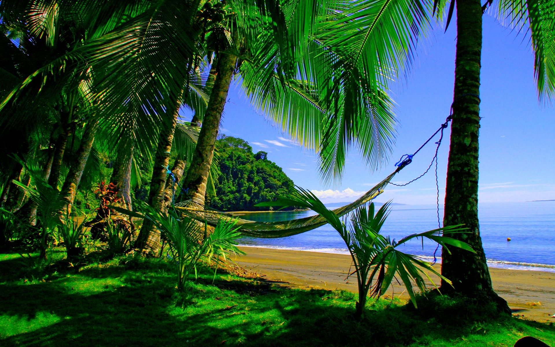 Скачать картинку Природа, Пляж, Пальмы, Дерево, Океан, Зеленый, Тропический, Гамак, Сделано Человеком в телефон бесплатно.
