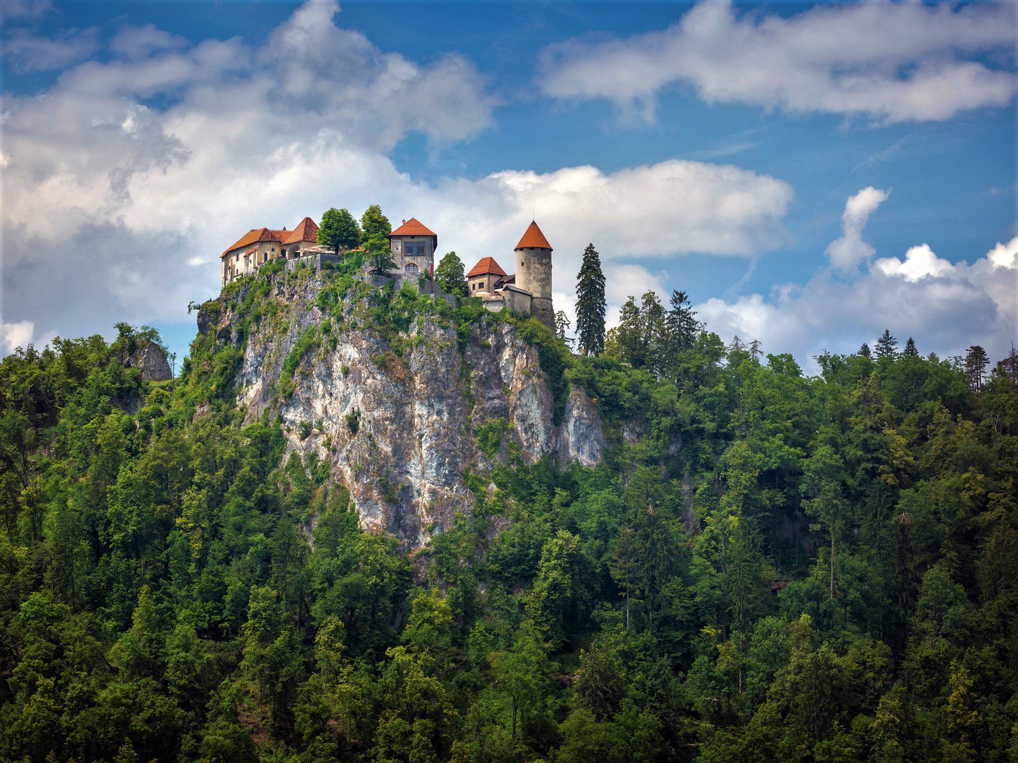 Baixar papel de parede para celular de Castelos, Montanha, Floresta, Penhasco, Castelo, Feito Pelo Homem gratuito.