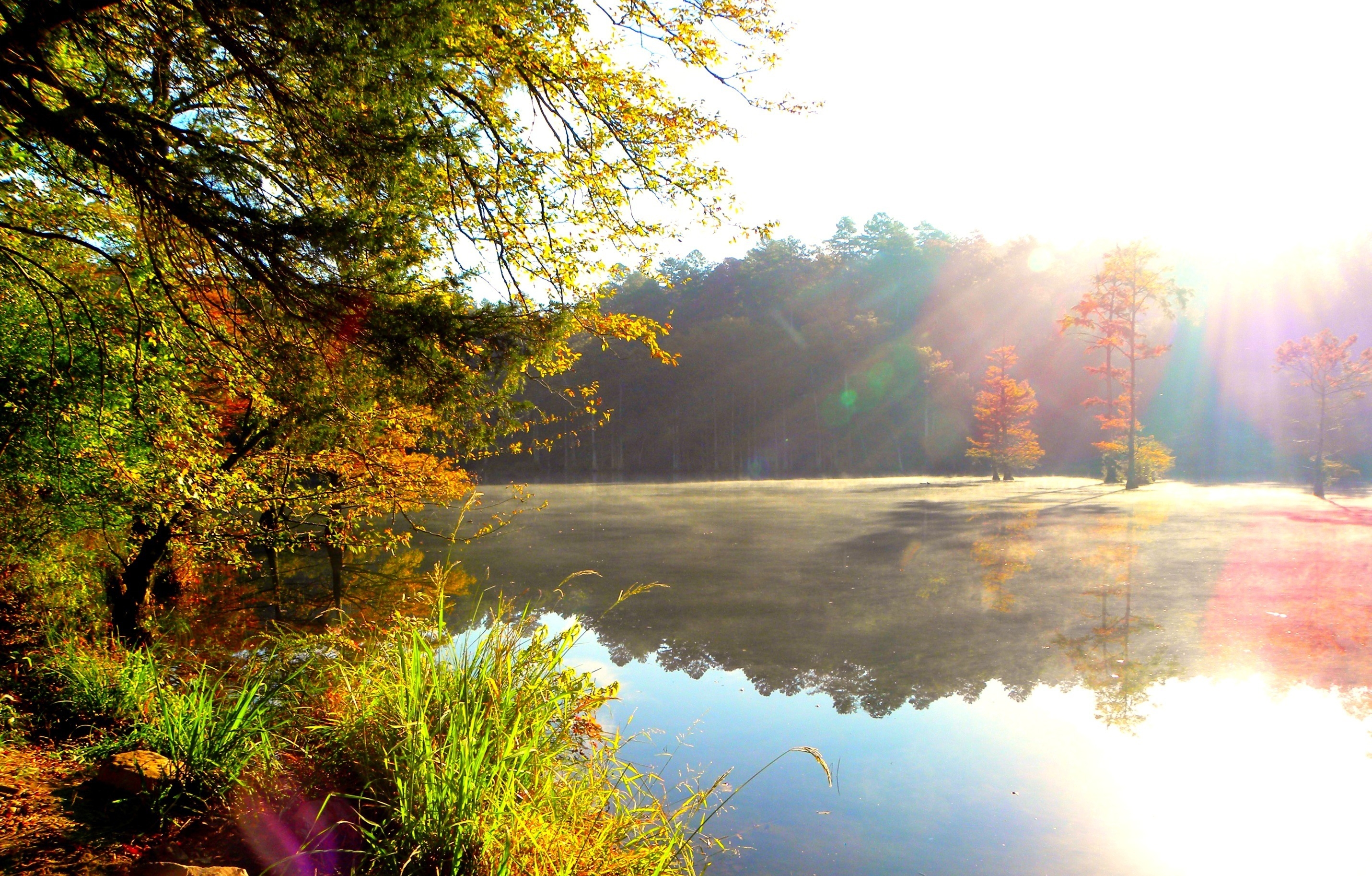 autumn, overflow, nature, sun, lake, shine, light, bright, forest, colors, color, paints, overflows