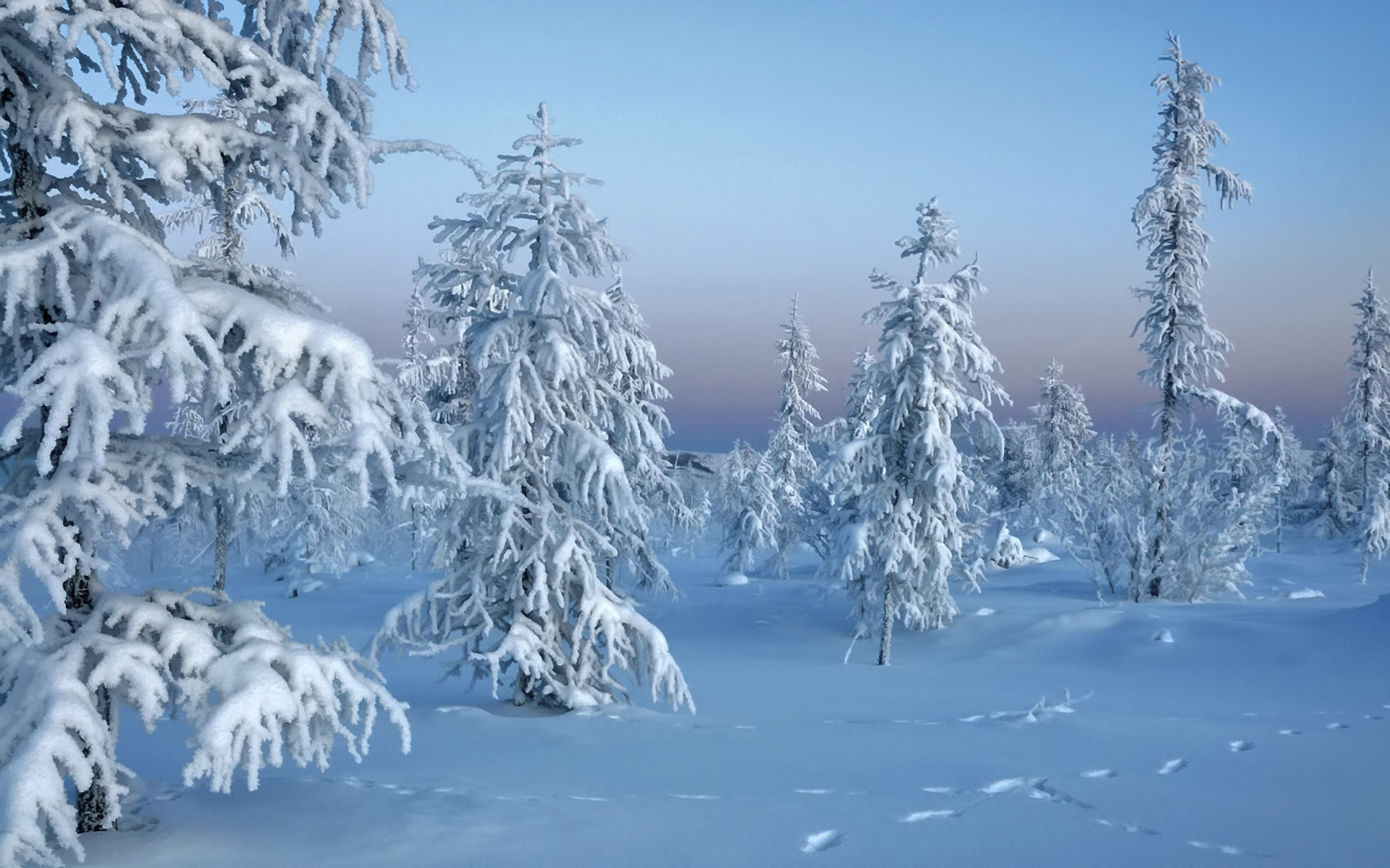 Handy-Wallpaper Landschaft, Winter, Schnee kostenlos herunterladen.