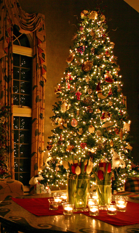 Download mobile wallpaper Christmas, Holiday, Christmas Tree, Candle, Tulip, Christmas Ornaments, Christmas Lights for free.