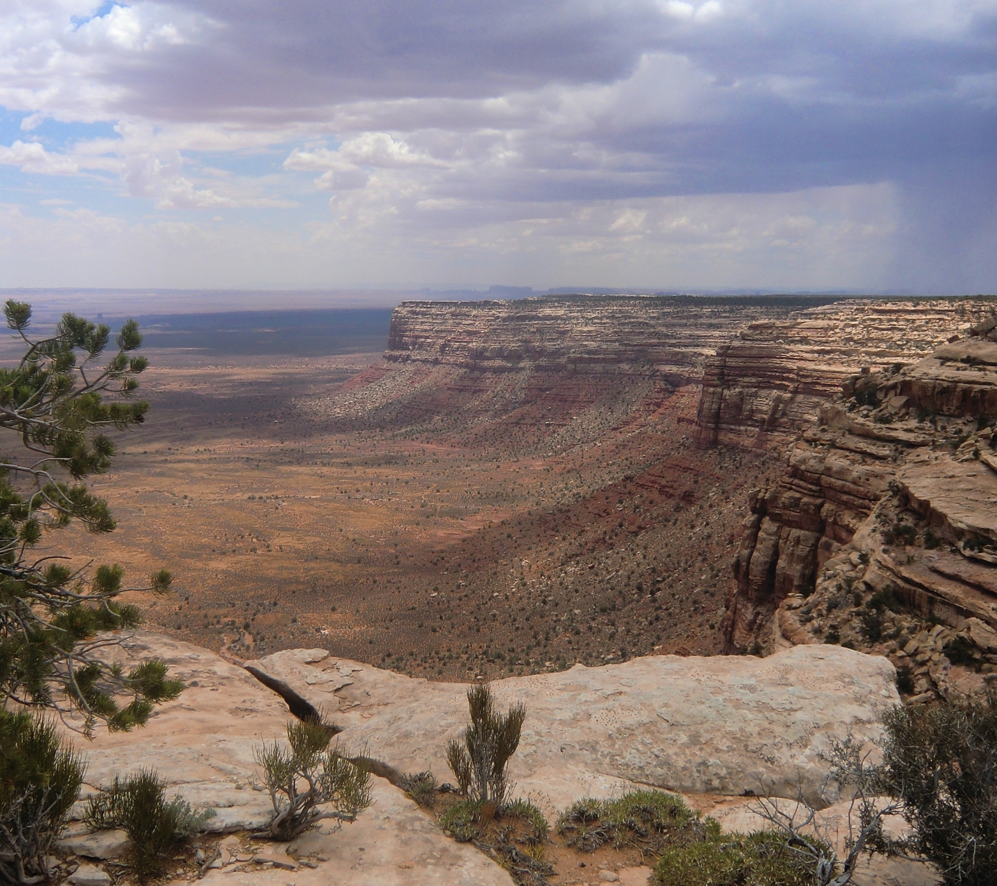 Free download wallpaper Landscape, Rain, Desert, Usa, Earth on your PC desktop