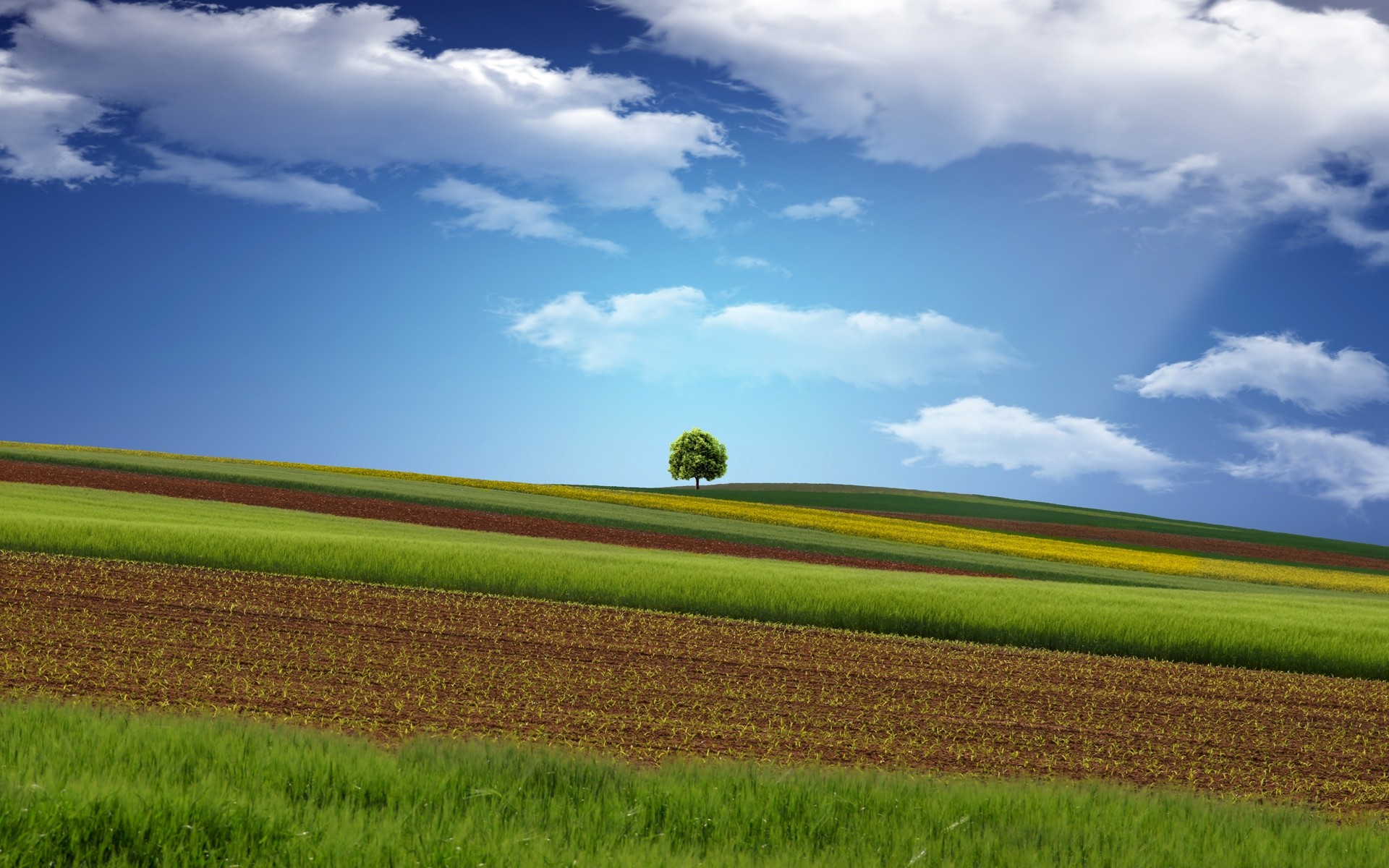 Free download wallpaper Earth, Field on your PC desktop