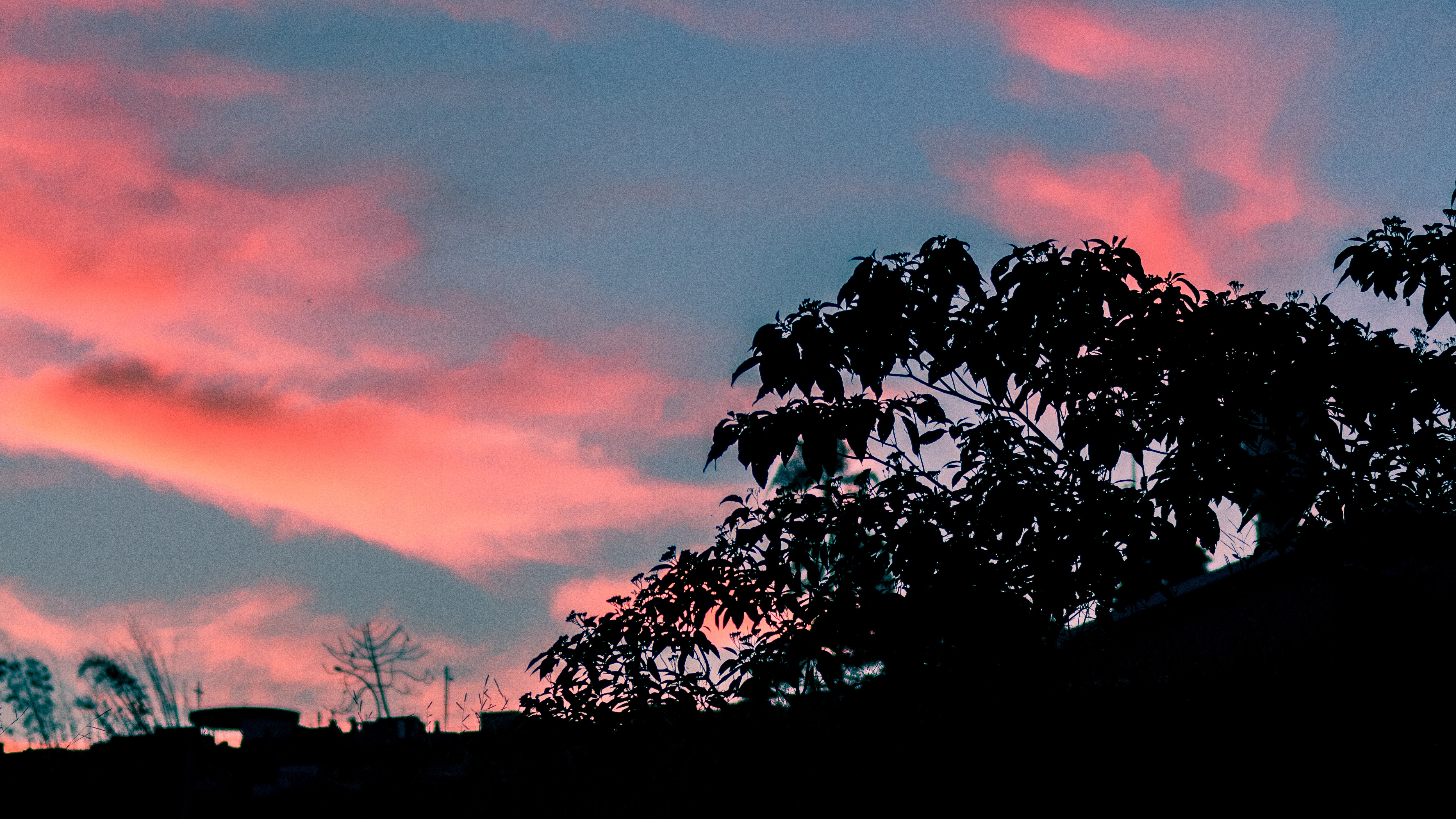 Free download wallpaper Trees, Sunset, Sky, Leaves, Dark on your PC desktop