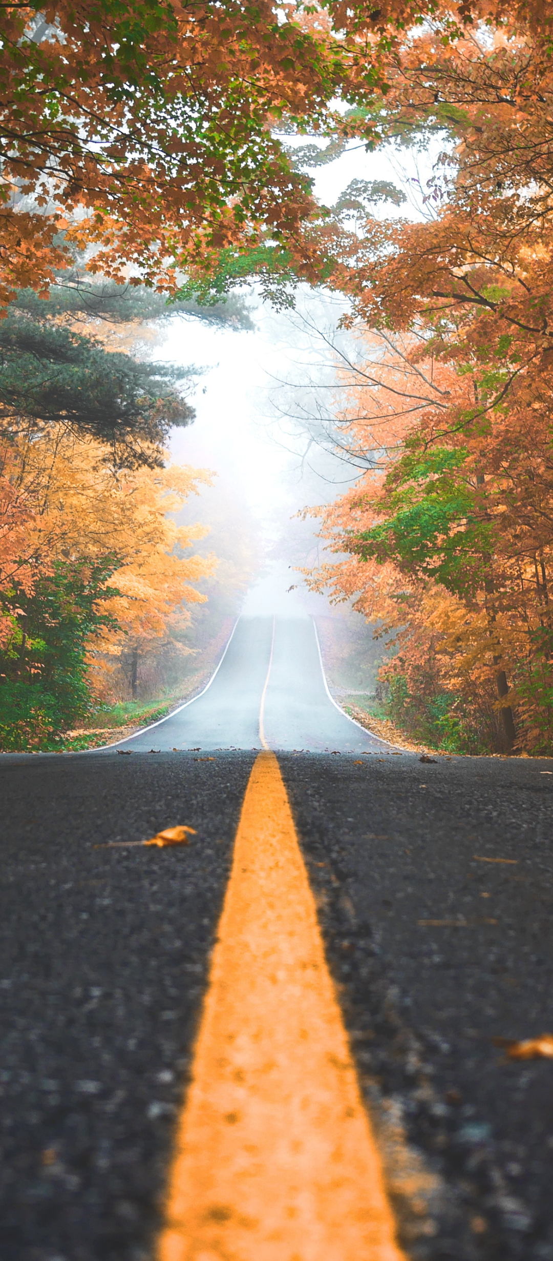 Download mobile wallpaper Nature, Road, Fall, Man Made for free.