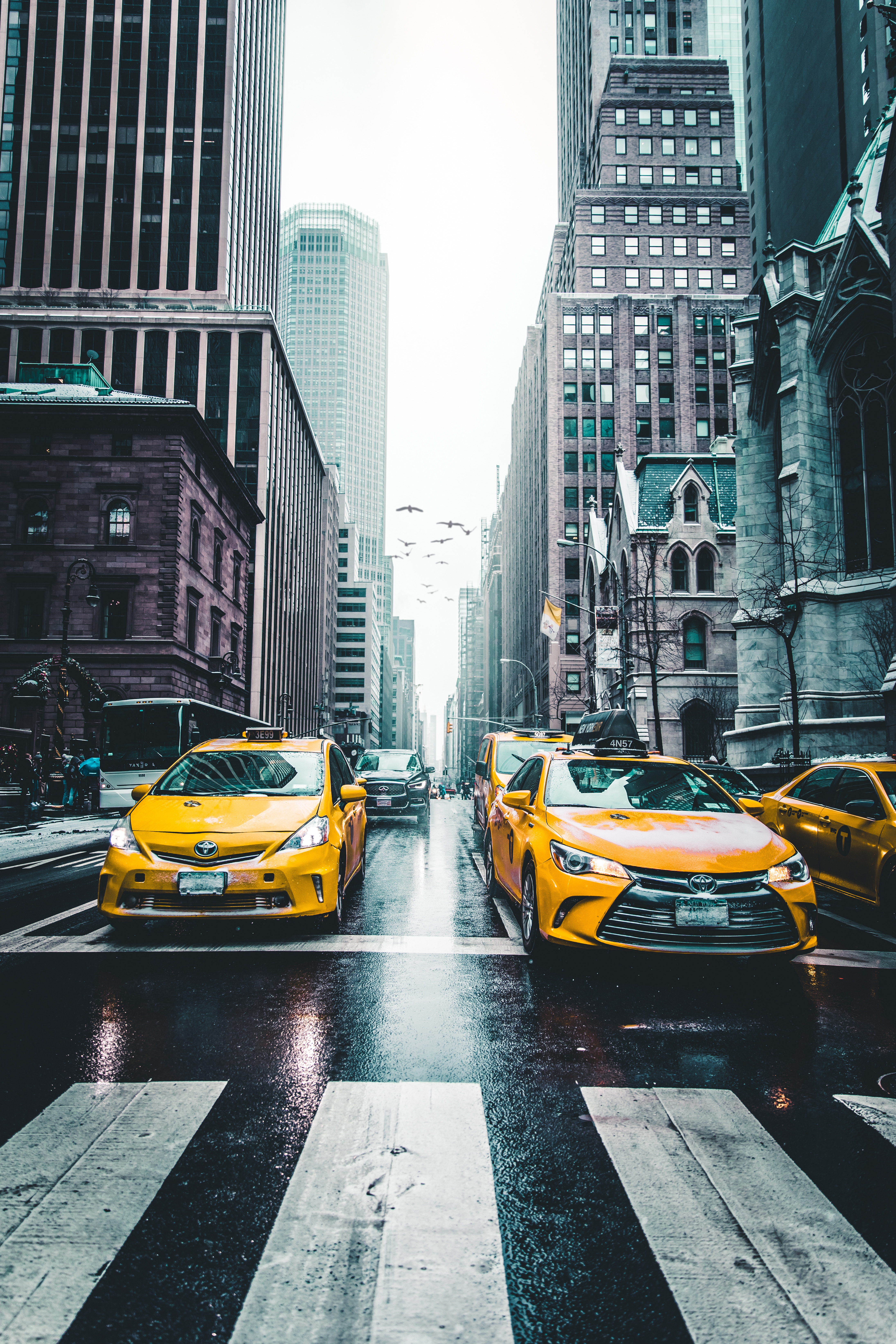 taxi, cars, city, traffic, movement, skyscrapers