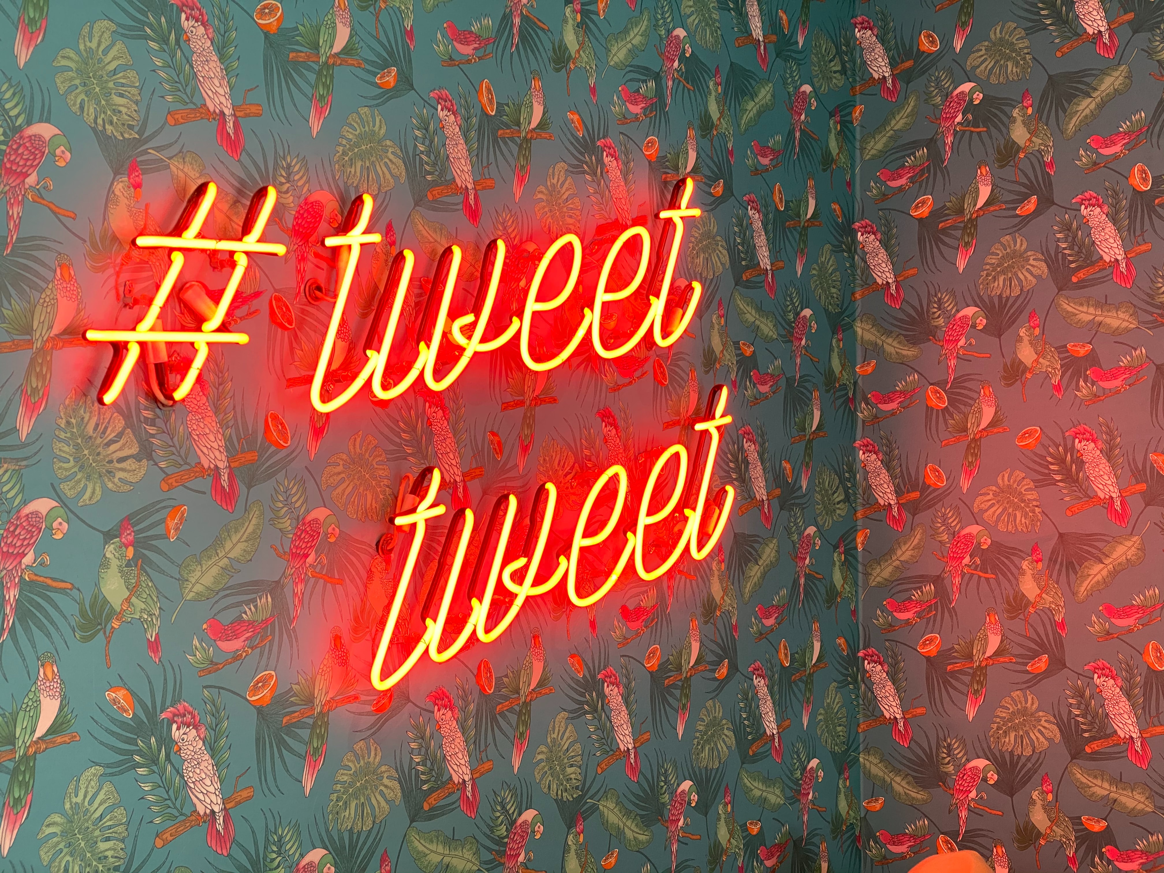 birds, words, pattern, neon, inscription, twitter