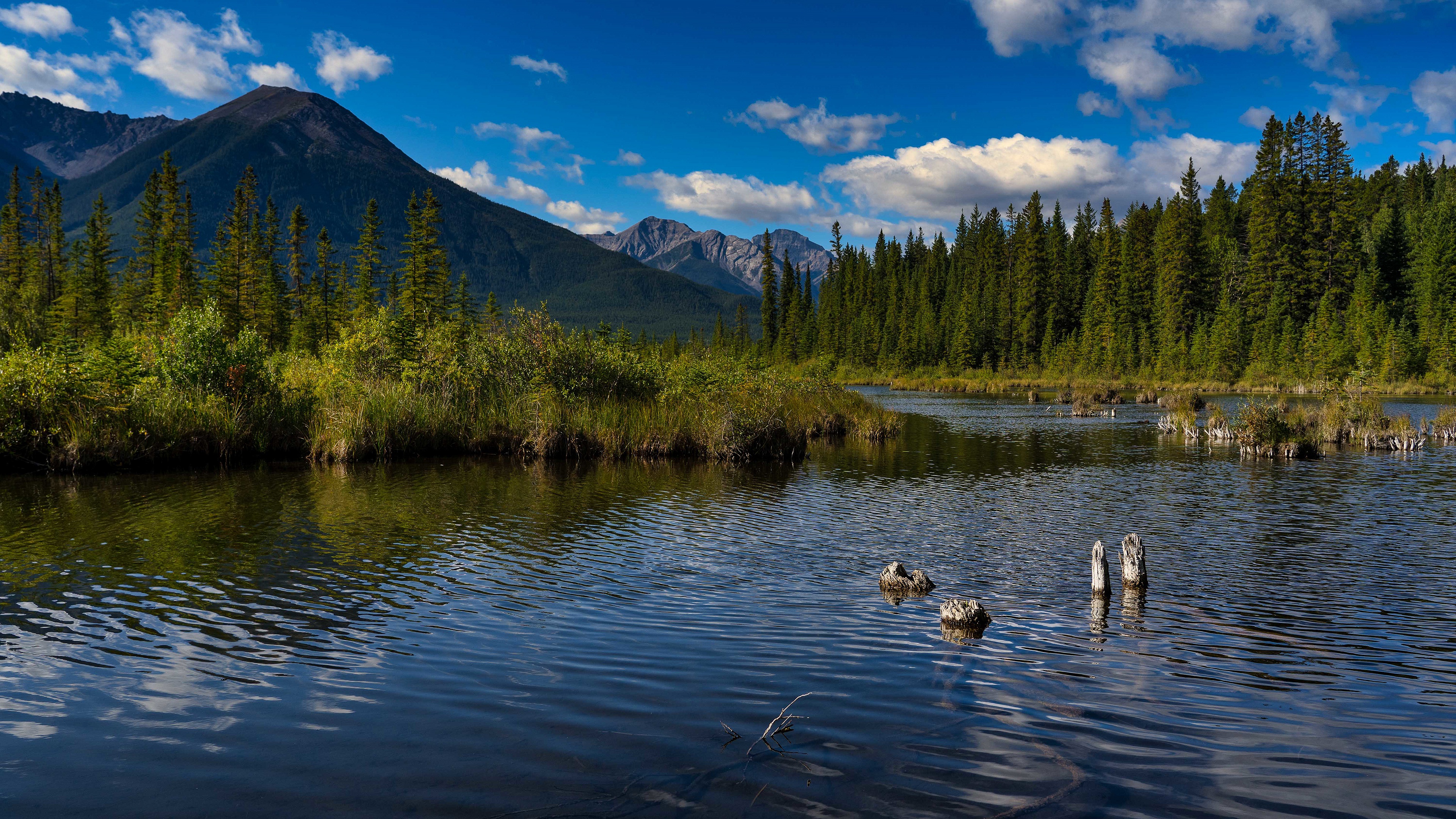 Скачати мобільні шпалери Природа, Озера, Гора, Озеро, Канада, Ліс, Земля, Альберта безкоштовно.