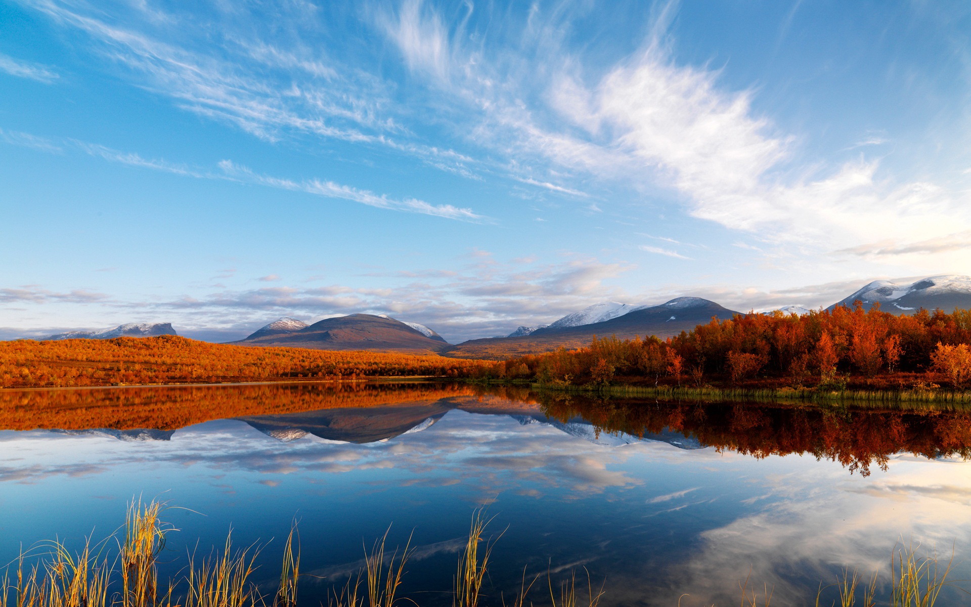 Descarga gratuita de fondo de pantalla para móvil de Tierra/naturaleza, Reflejo.