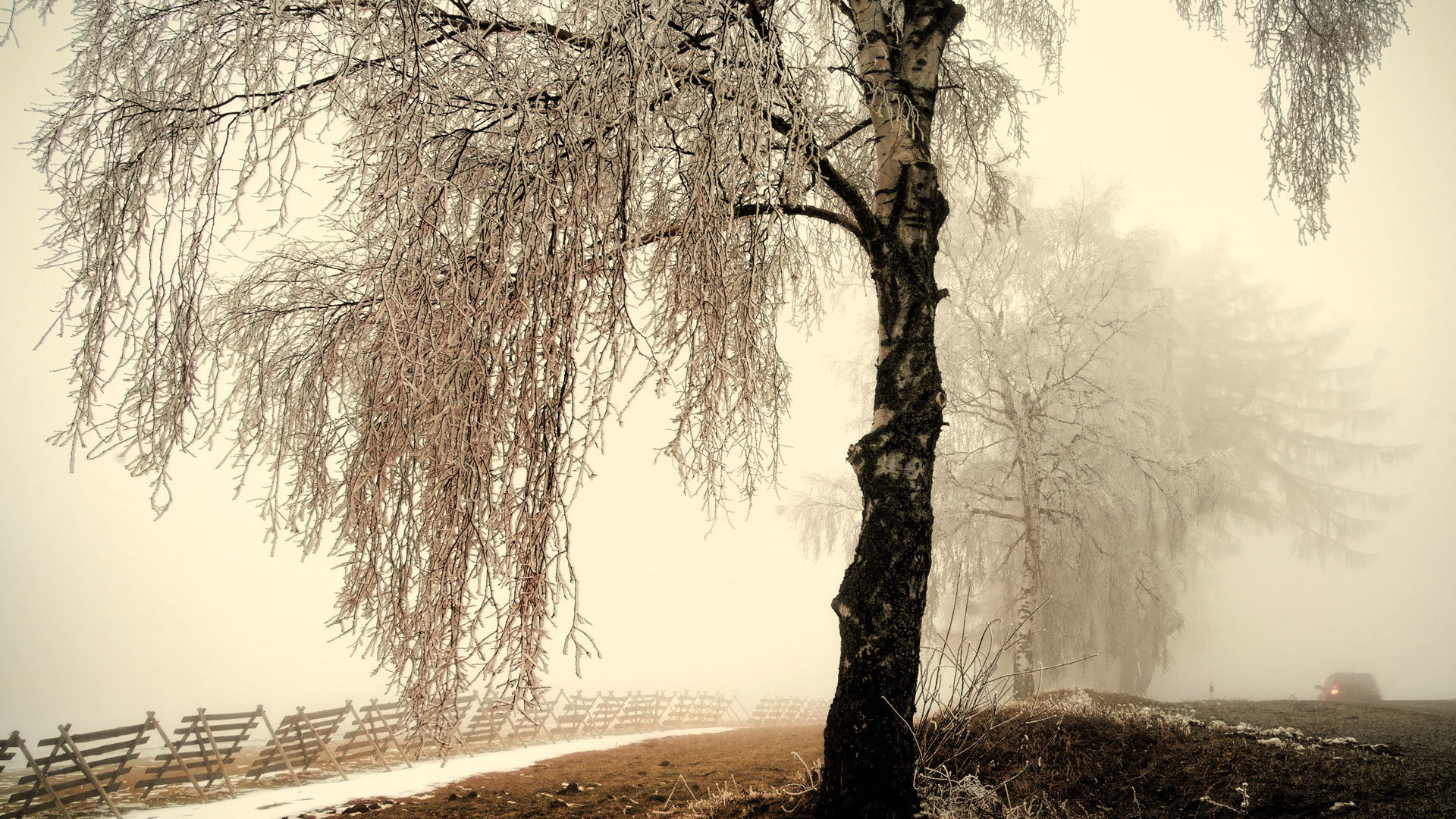 Téléchargez gratuitement l'image Brouillard, Terre/nature sur le bureau de votre PC