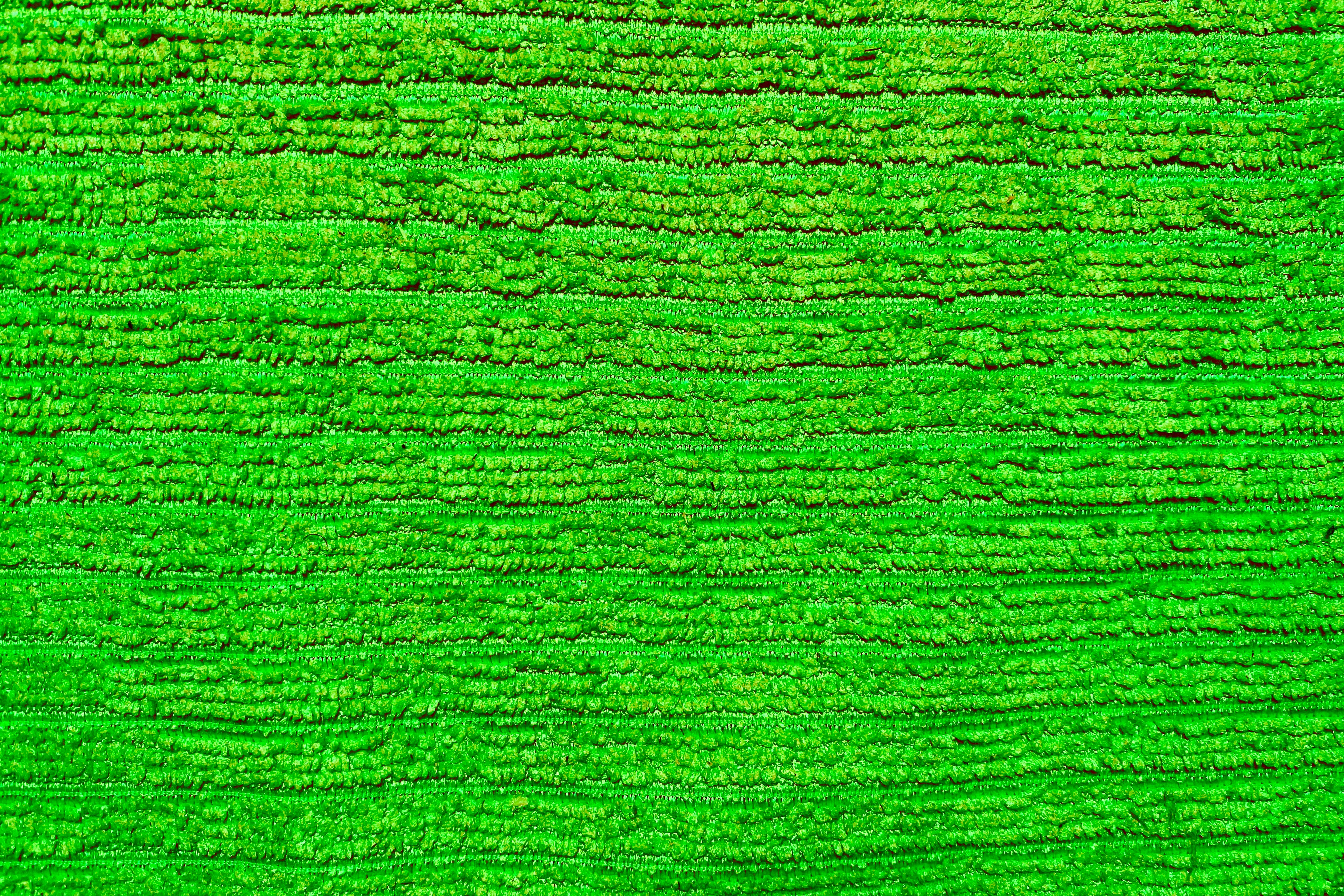 green, bright, texture, textures, cloth 4K for PC