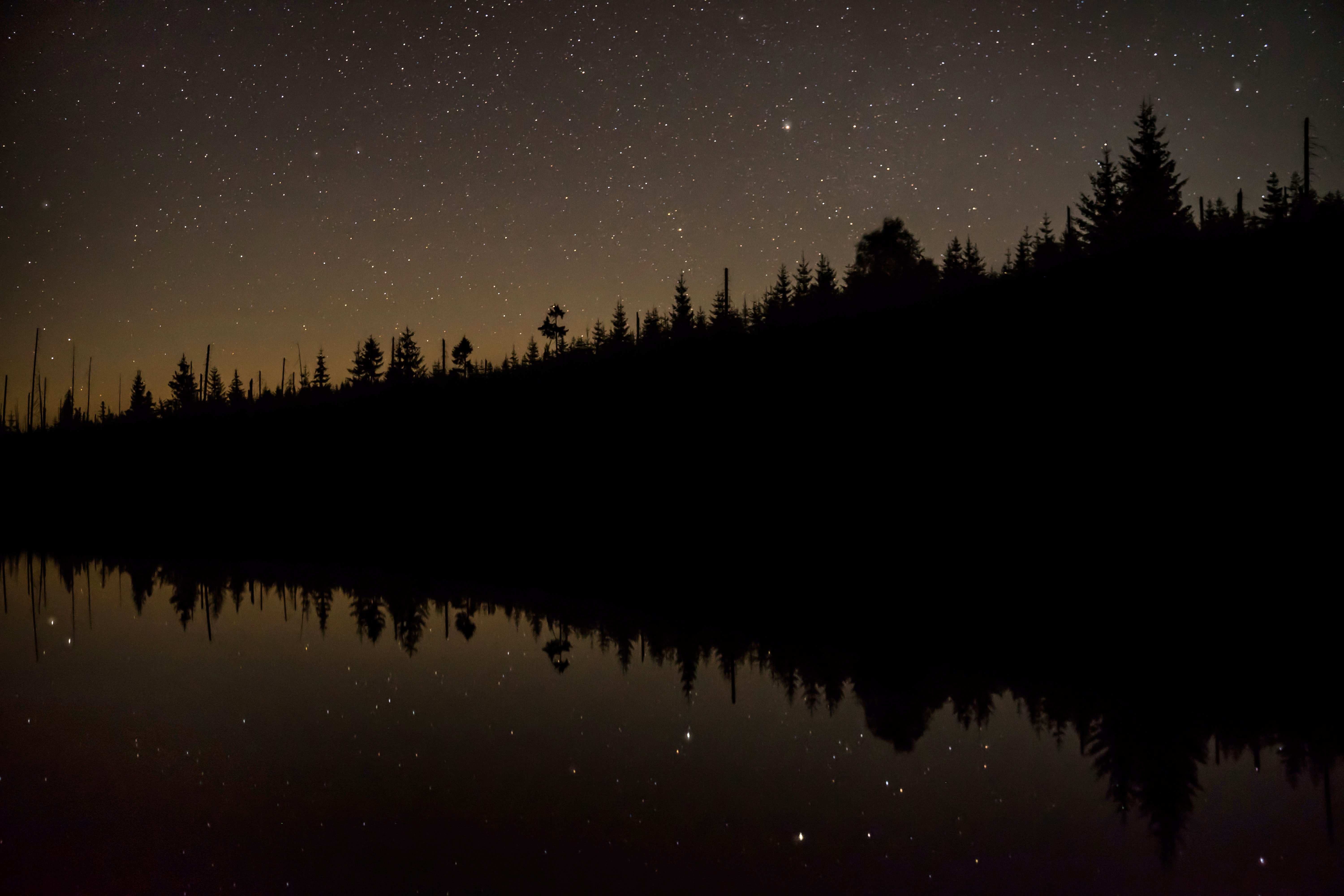 Download mobile wallpaper Reflection, Water, Trees, Starry Sky, Night, Dark for free.