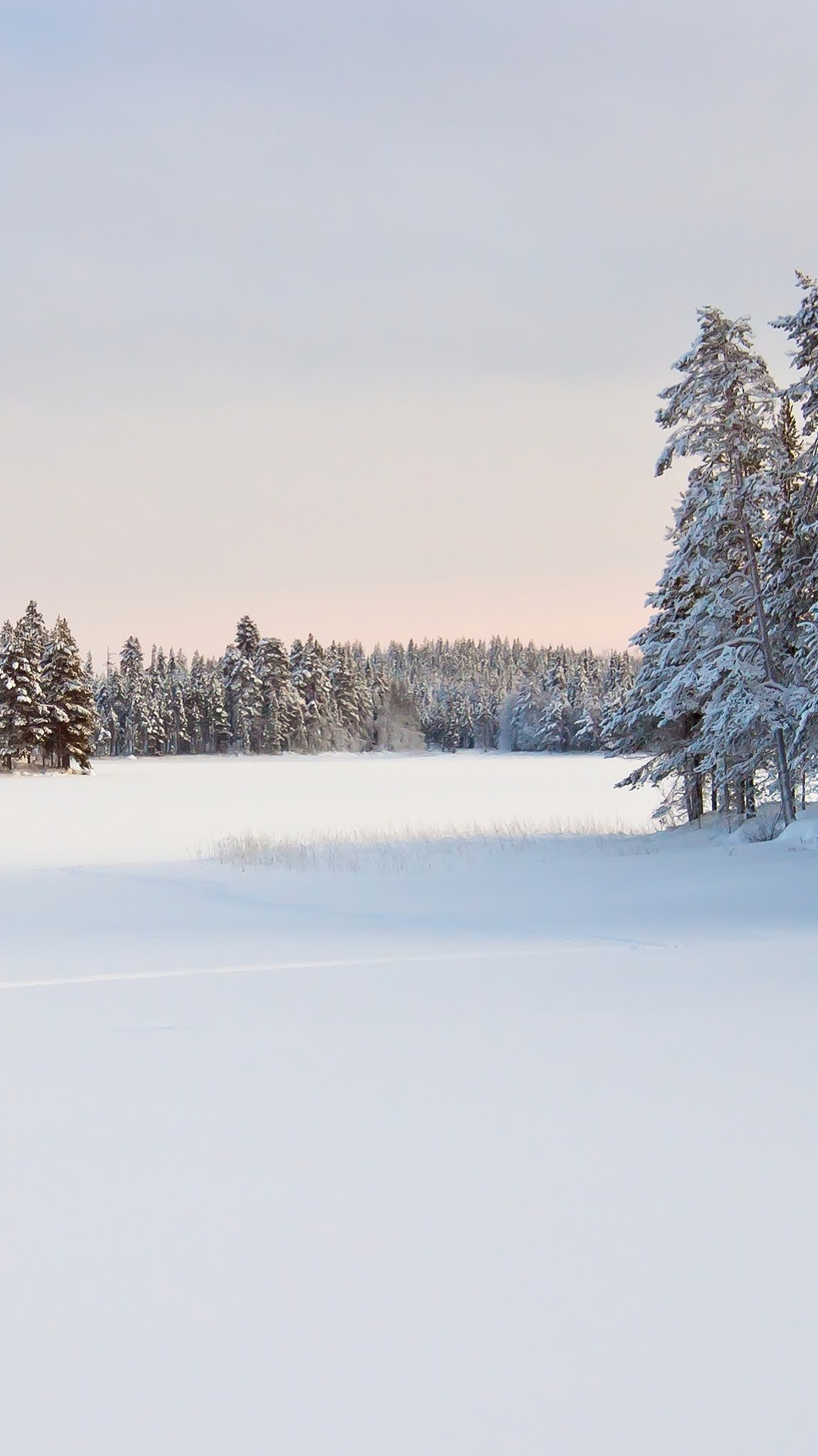 Handy-Wallpaper Winter, Erde/natur kostenlos herunterladen.