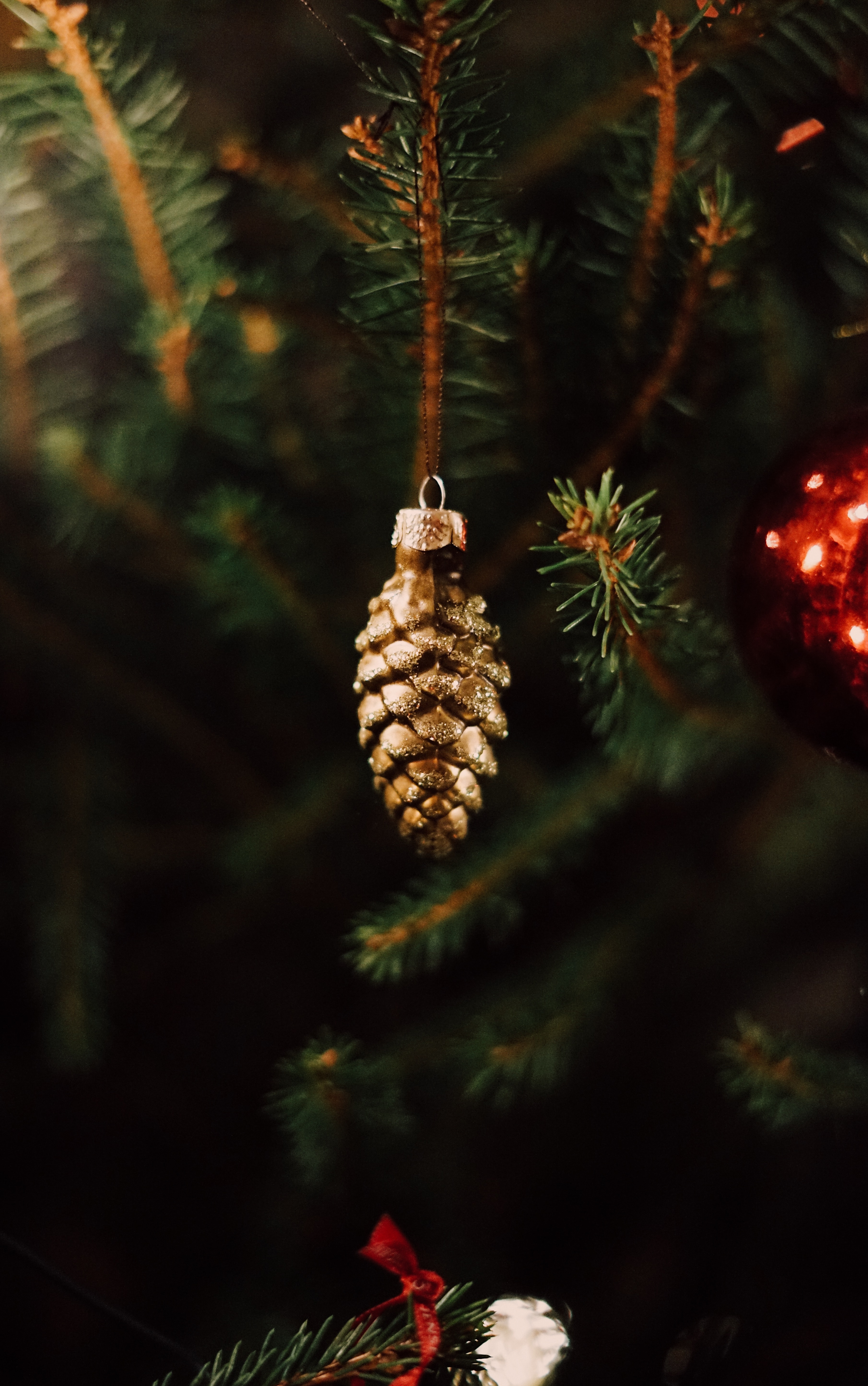 Baixe gratuitamente a imagem Férias, Ano Novo, Natal, Decoração, Árvore De Natal, Calombo, Cone na área de trabalho do seu PC