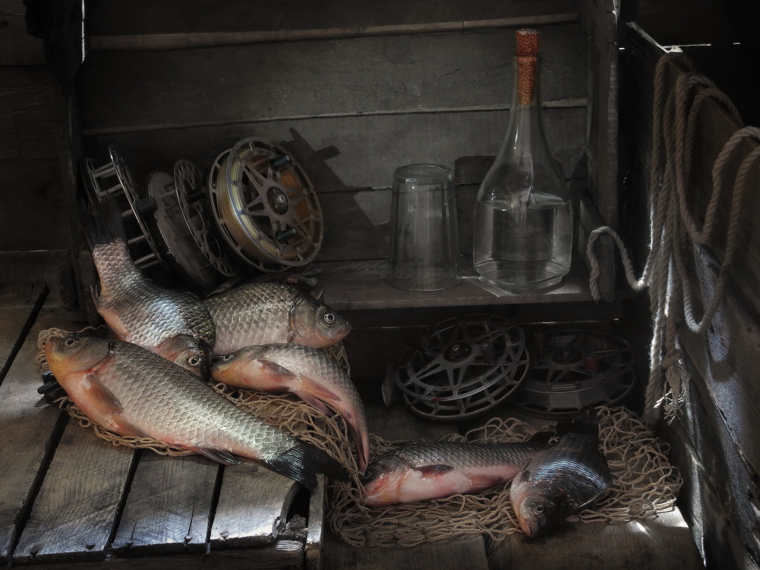 Baixar papel de parede para celular de Comida, Natureza Morta, Peixe gratuito.