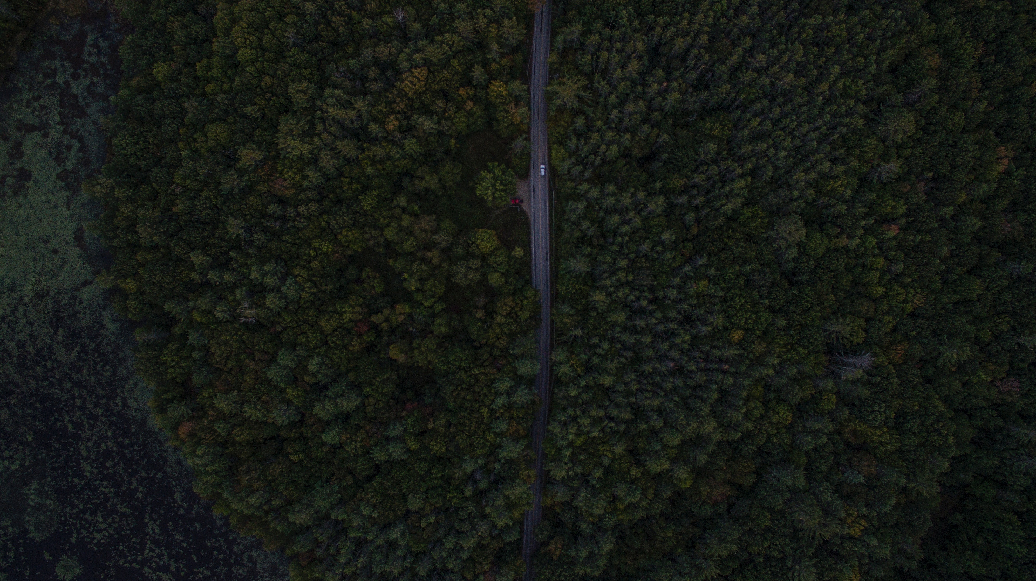 PCデスクトップに木, 道路, 上から見る, 闇, 暗い, 森林, 森, 道画像を無料でダウンロード