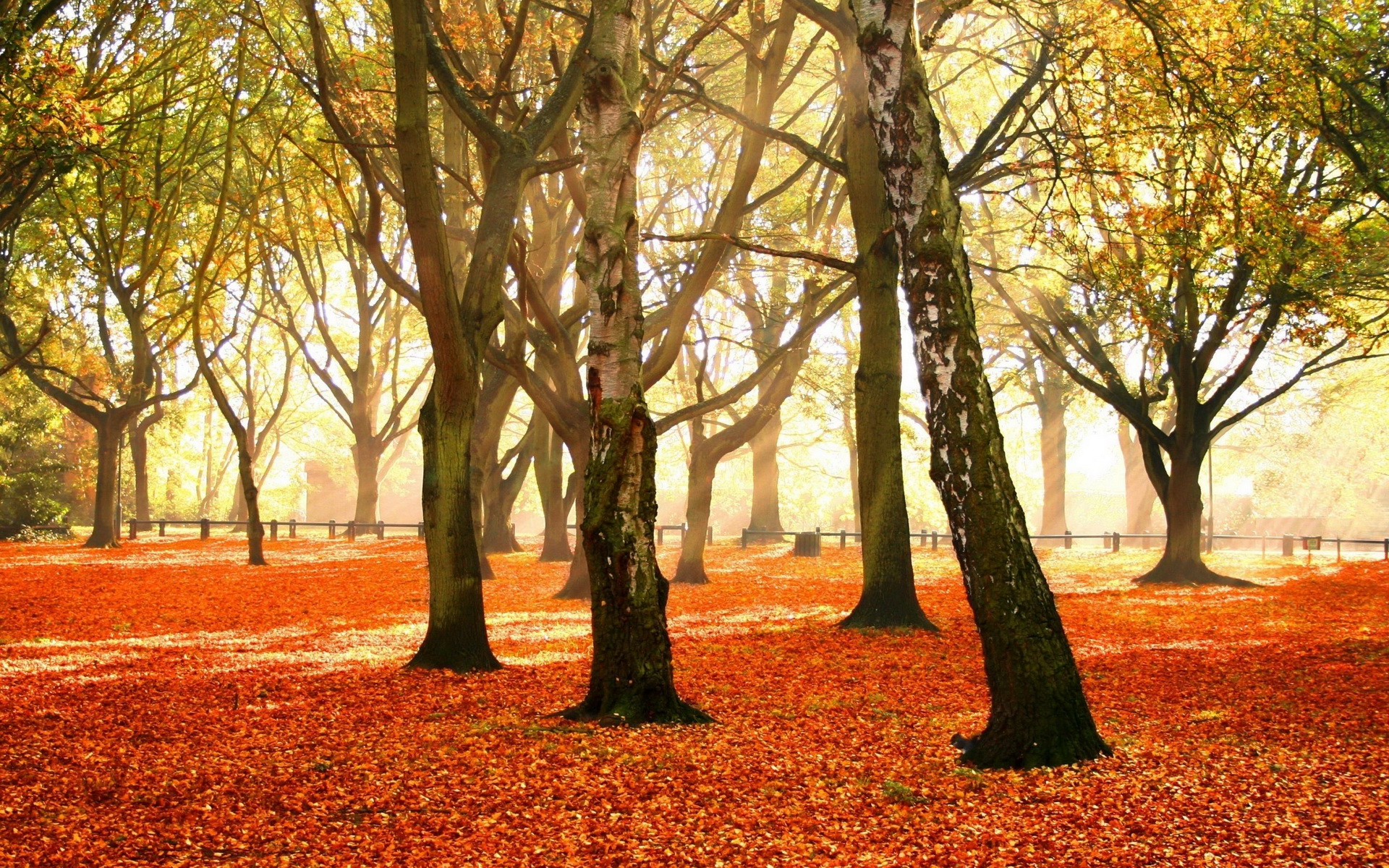 Handy-Wallpaper Herbst, Erde/natur kostenlos herunterladen.